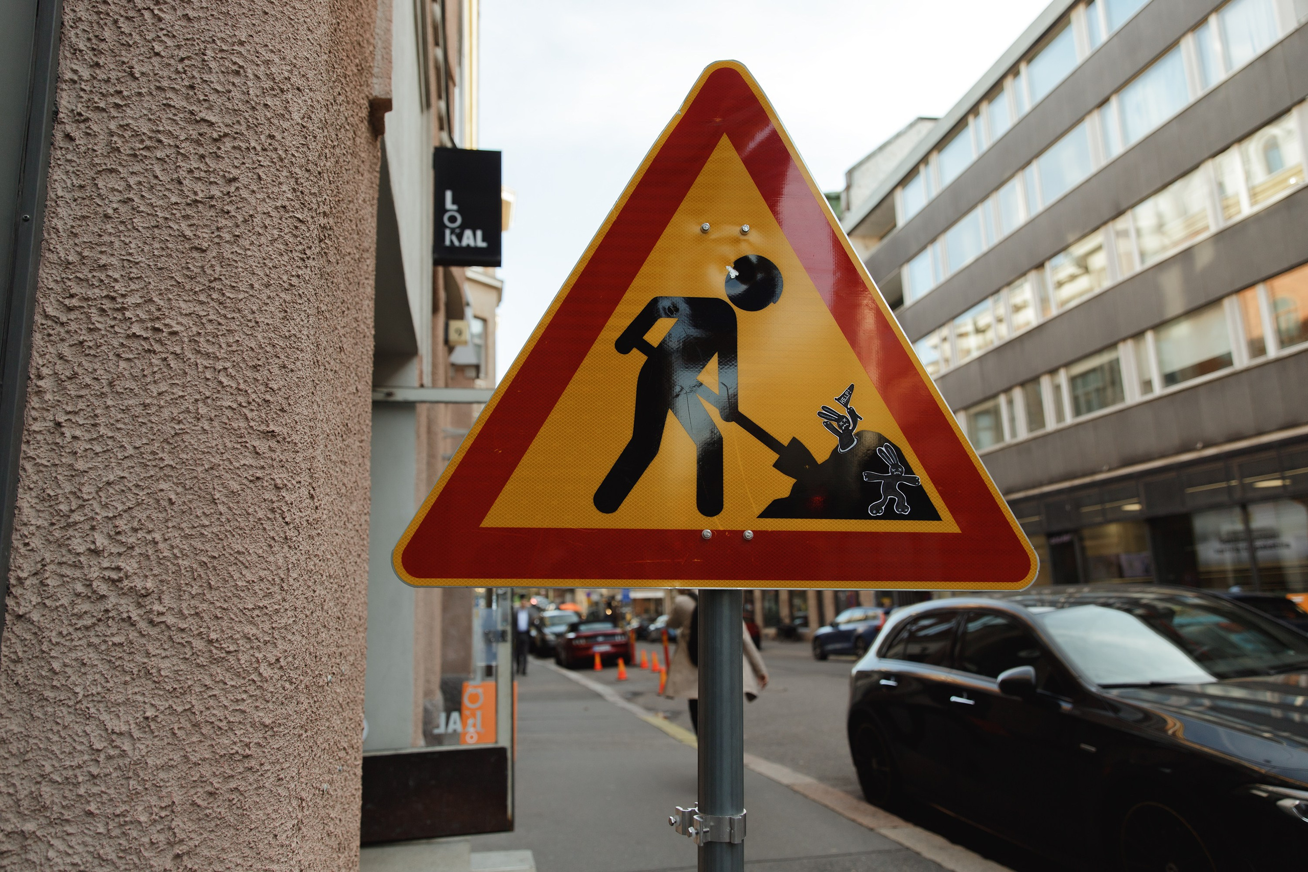 Helsinki. Kaja | fotograf psów we Wrocławiu