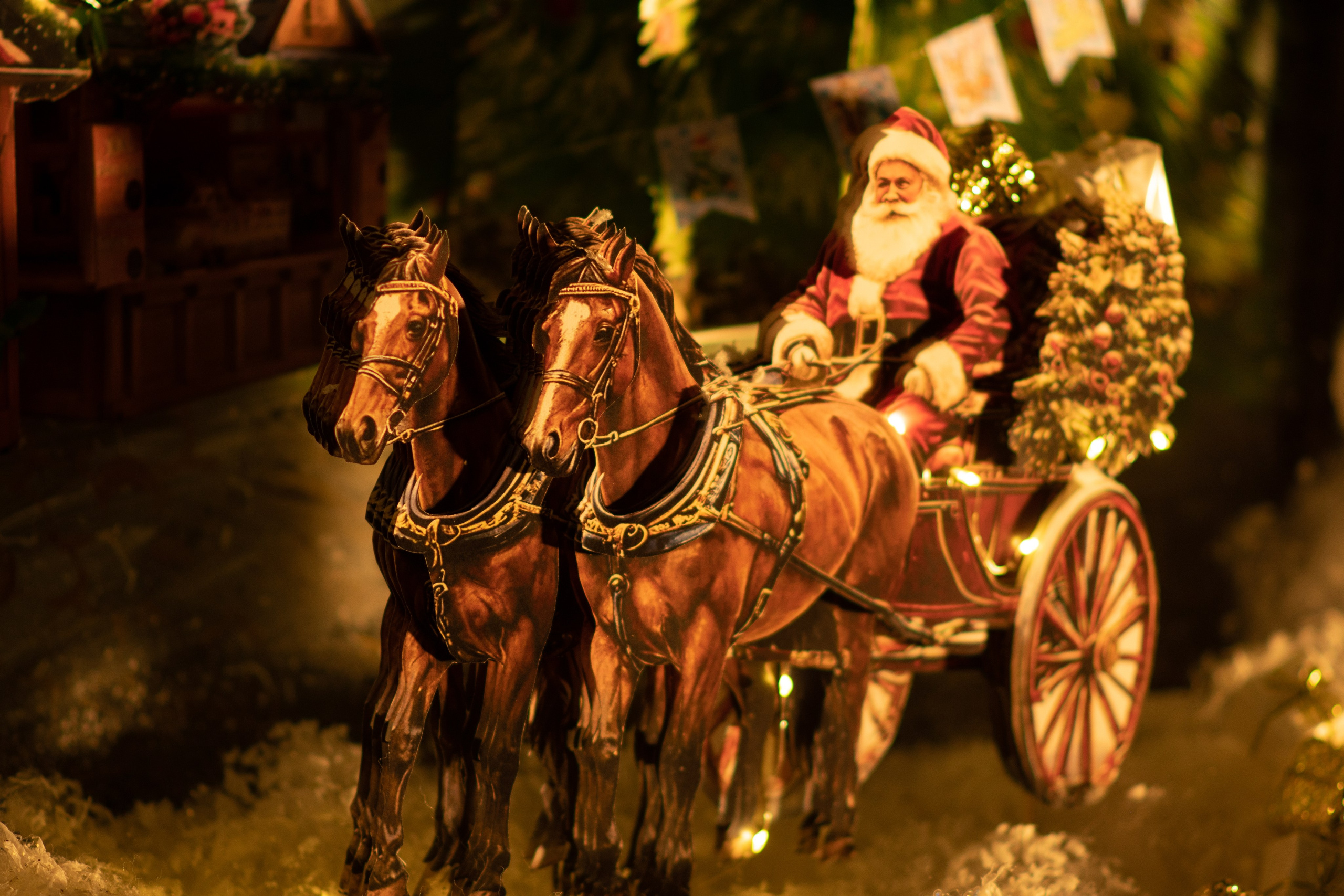 Проект. Семейный и детский фотограф