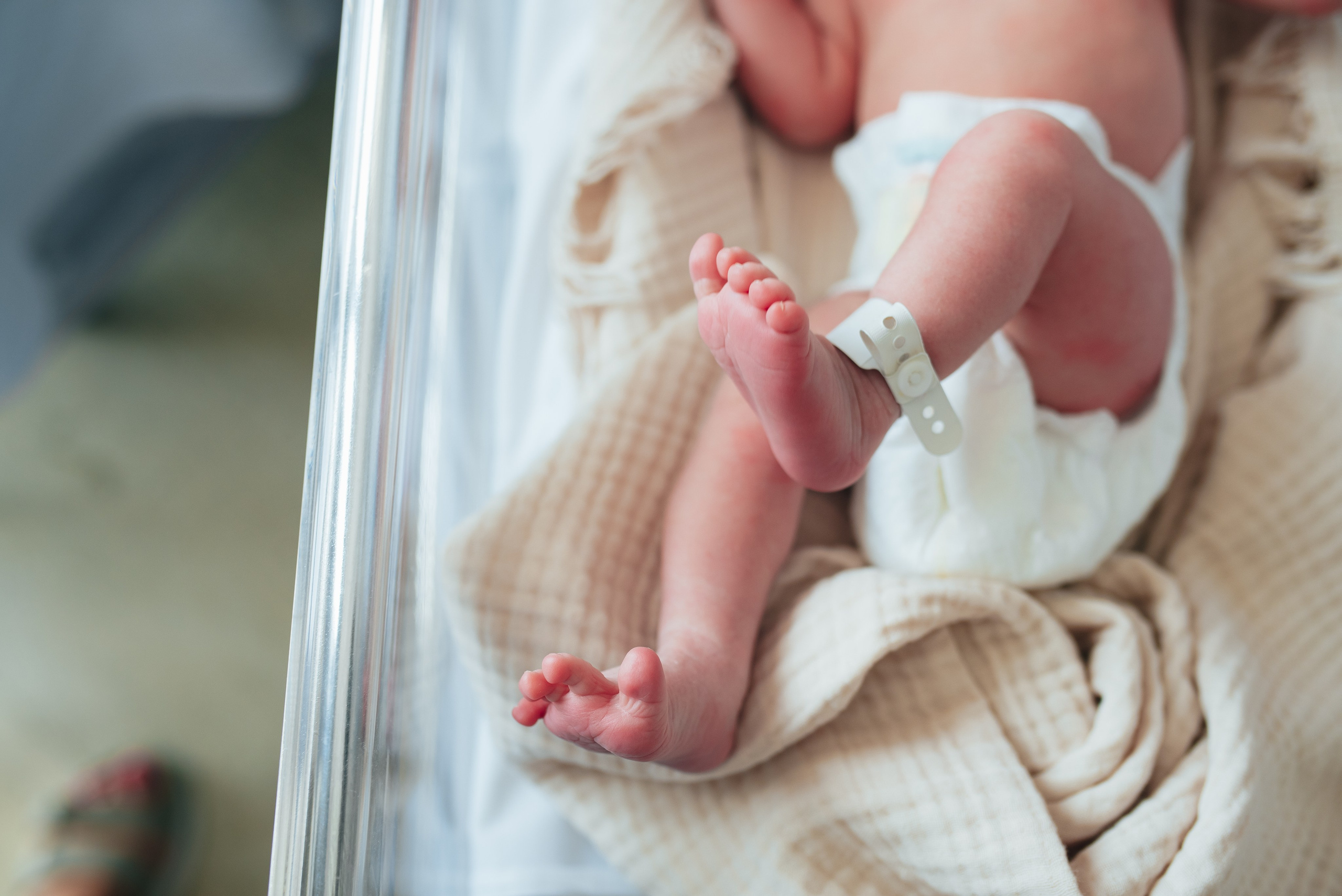 Fresh 48. Https://newbornphoto.wfolio.pro/me