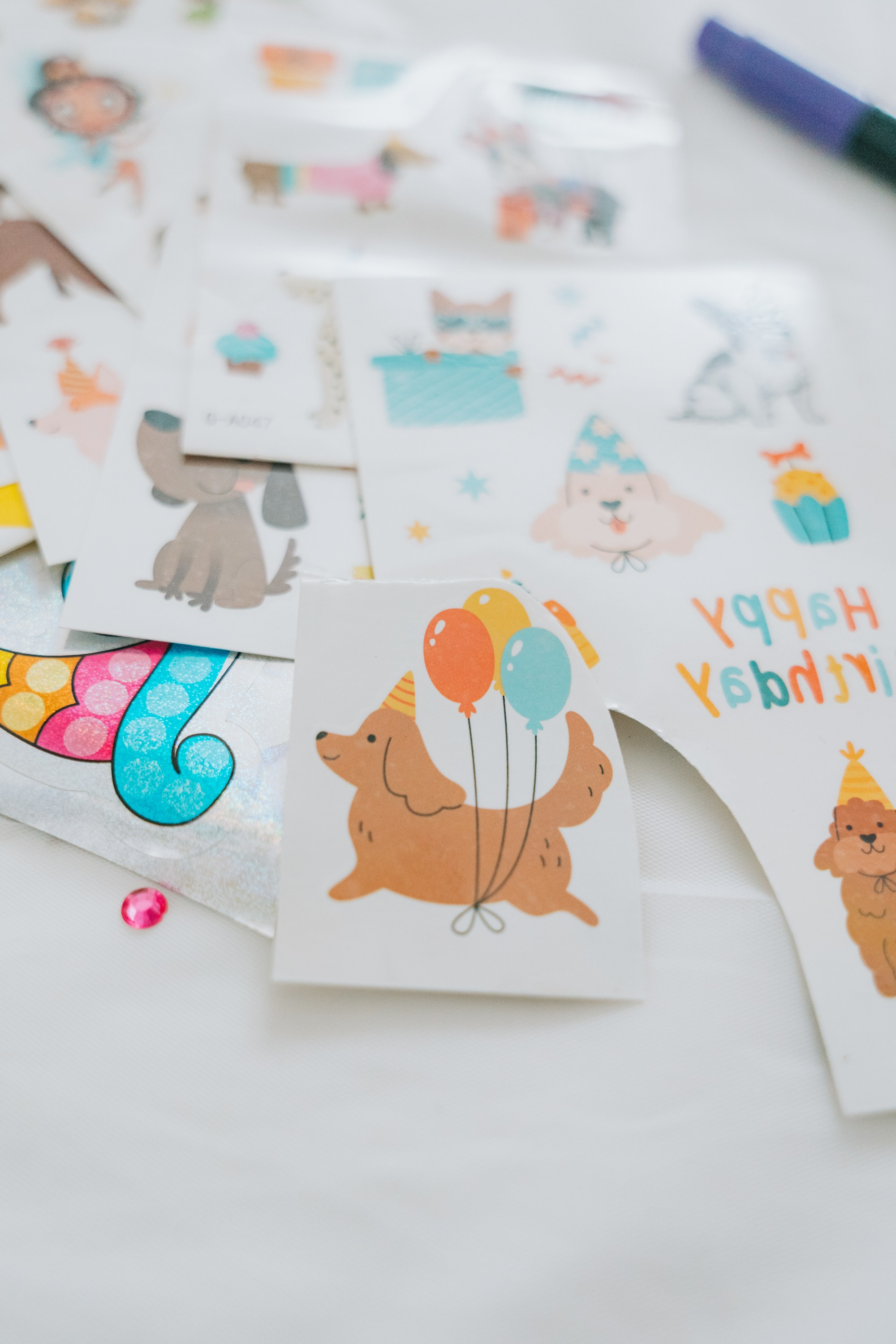 «BIRTHDAY PARTY». Svitlana Miahka fotografa a Genova