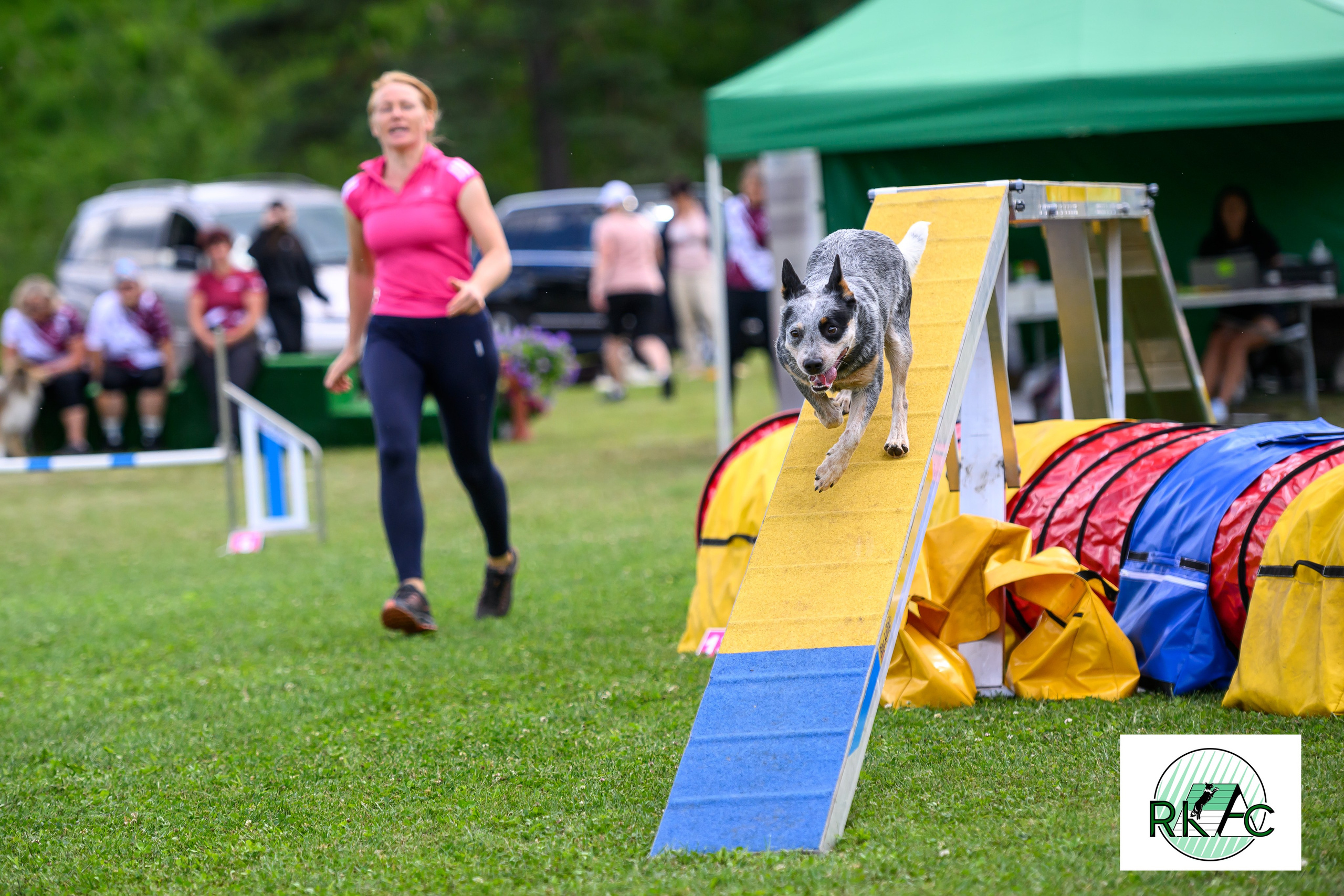 Suņu sacensības veiklībā. Ritvars Pujats Emotion Photographer