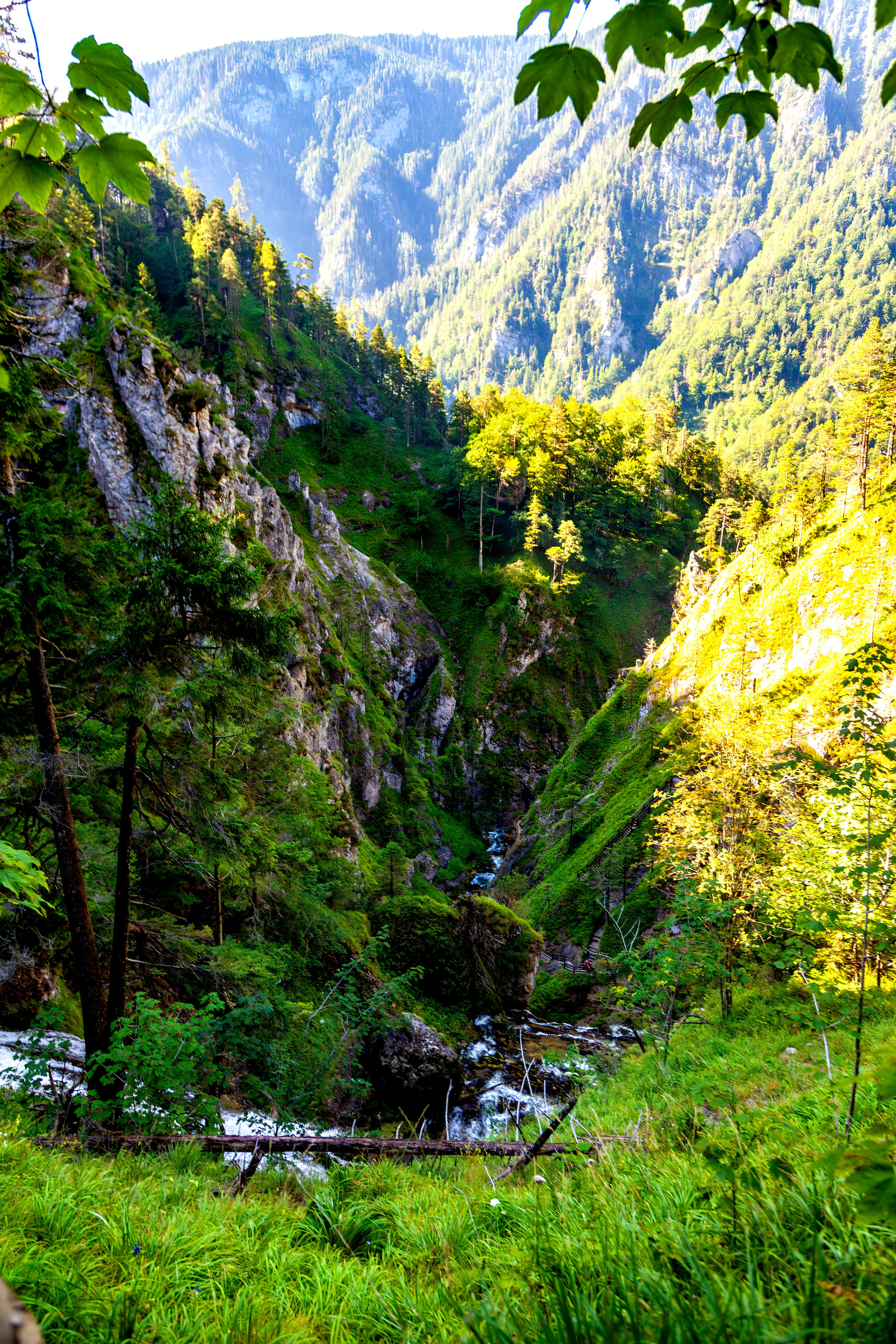 193.Wasserloch Klamm.Palfau.18.8.2025. Путешествия в формате 360......