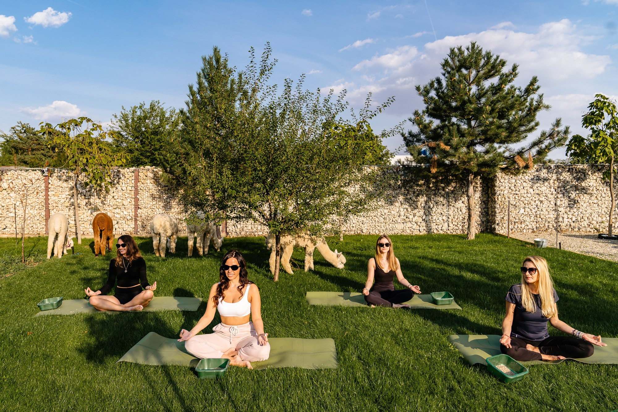 Openings & Brand Activation | Fotografie PR. Fotograf Corporate Business