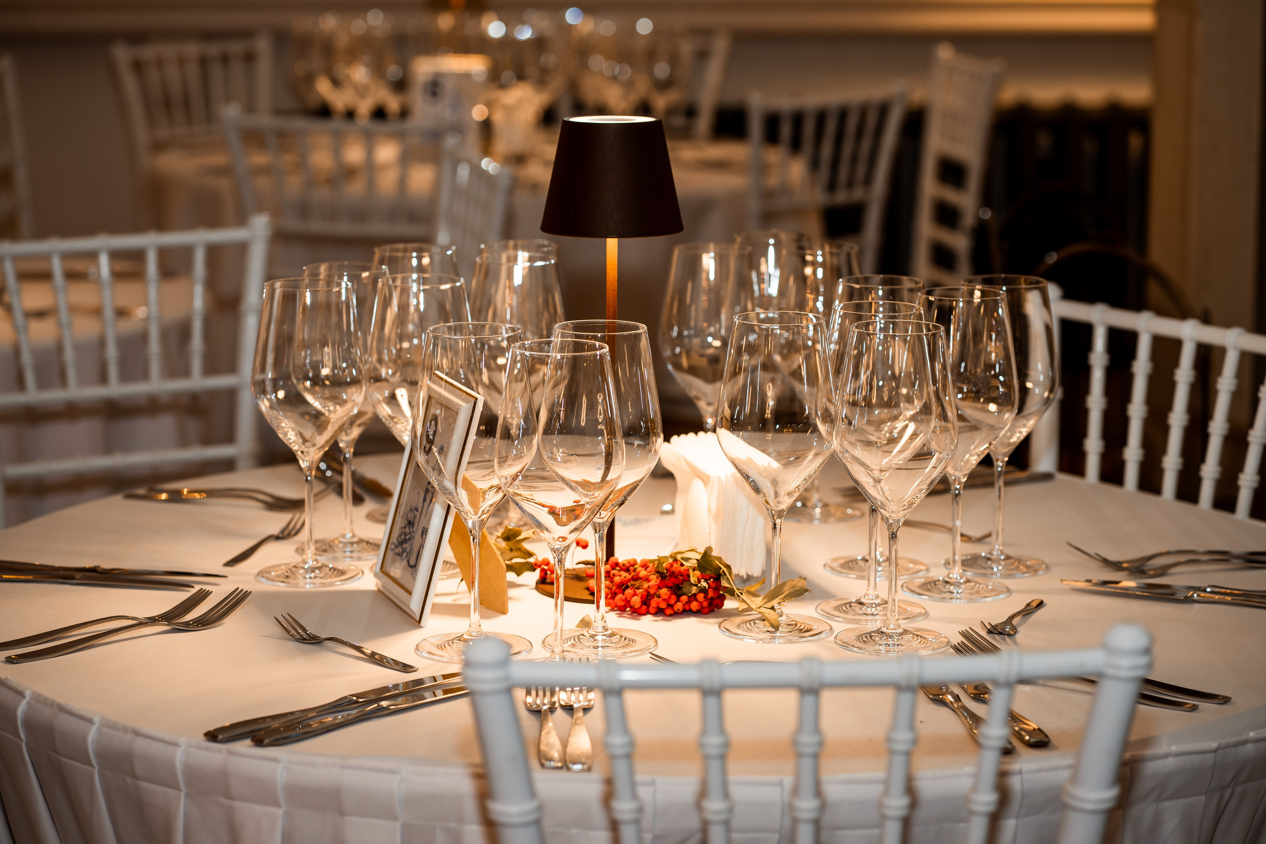 RESTAURANT. Montenegro photographer and videographer