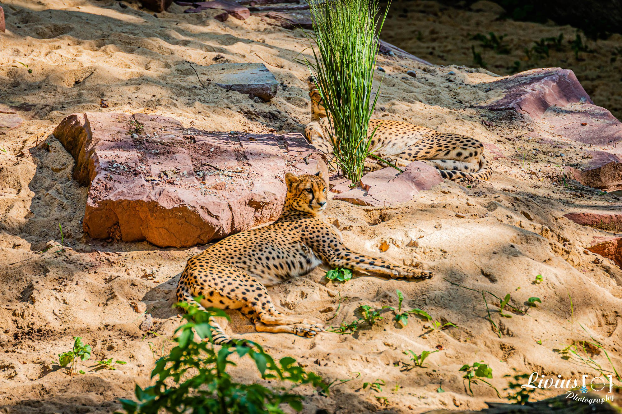 Tierpark Nürnberg. FOTO KREATIV