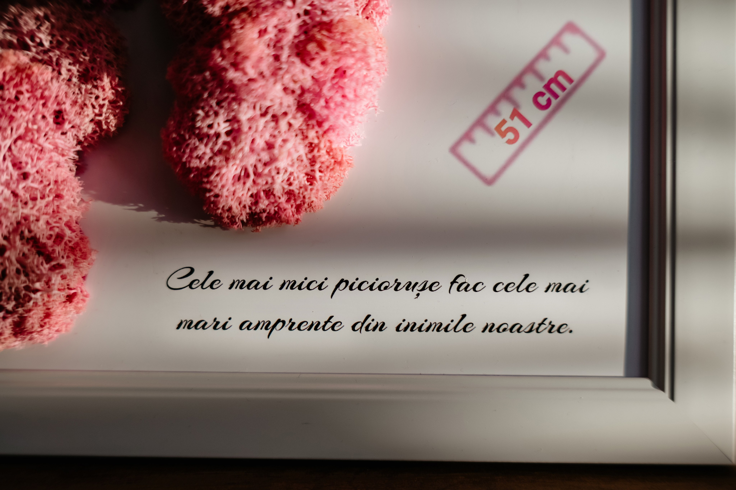 Botezuri. Vex Photography- Portofoliu fotografie nunta