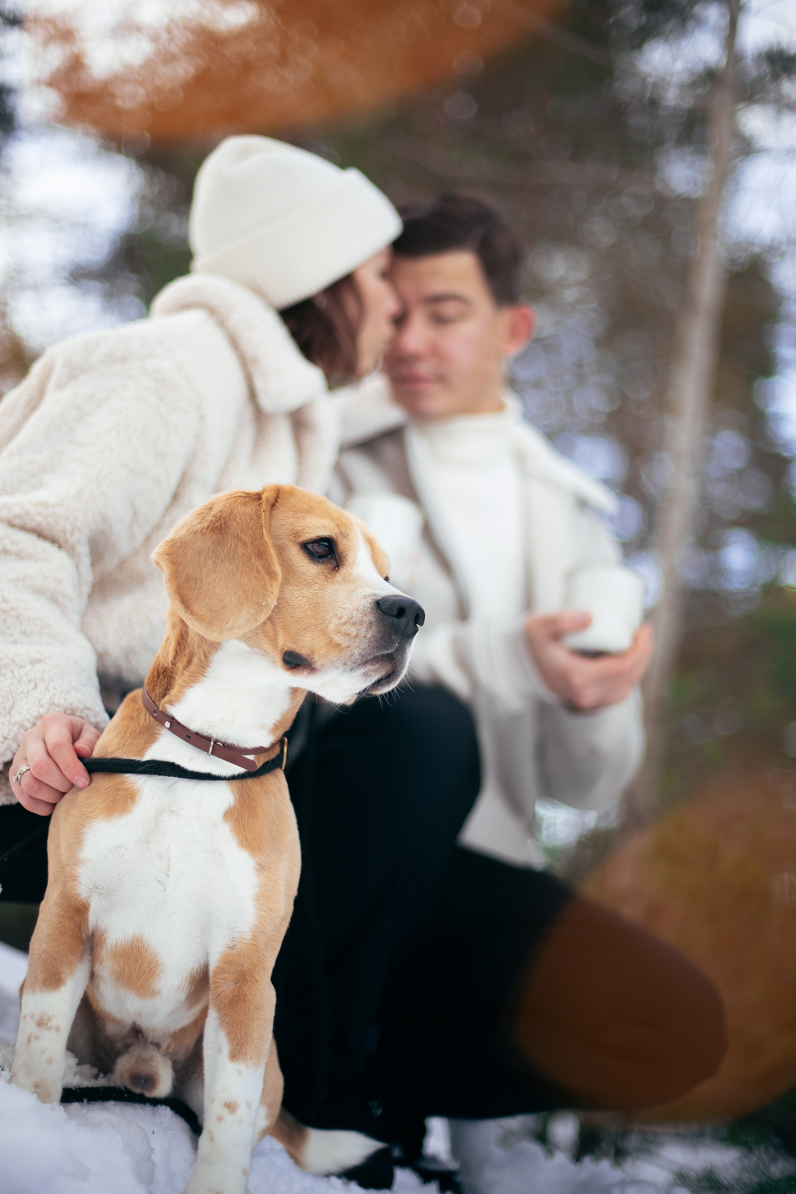 Никита и Кетрин. Главная