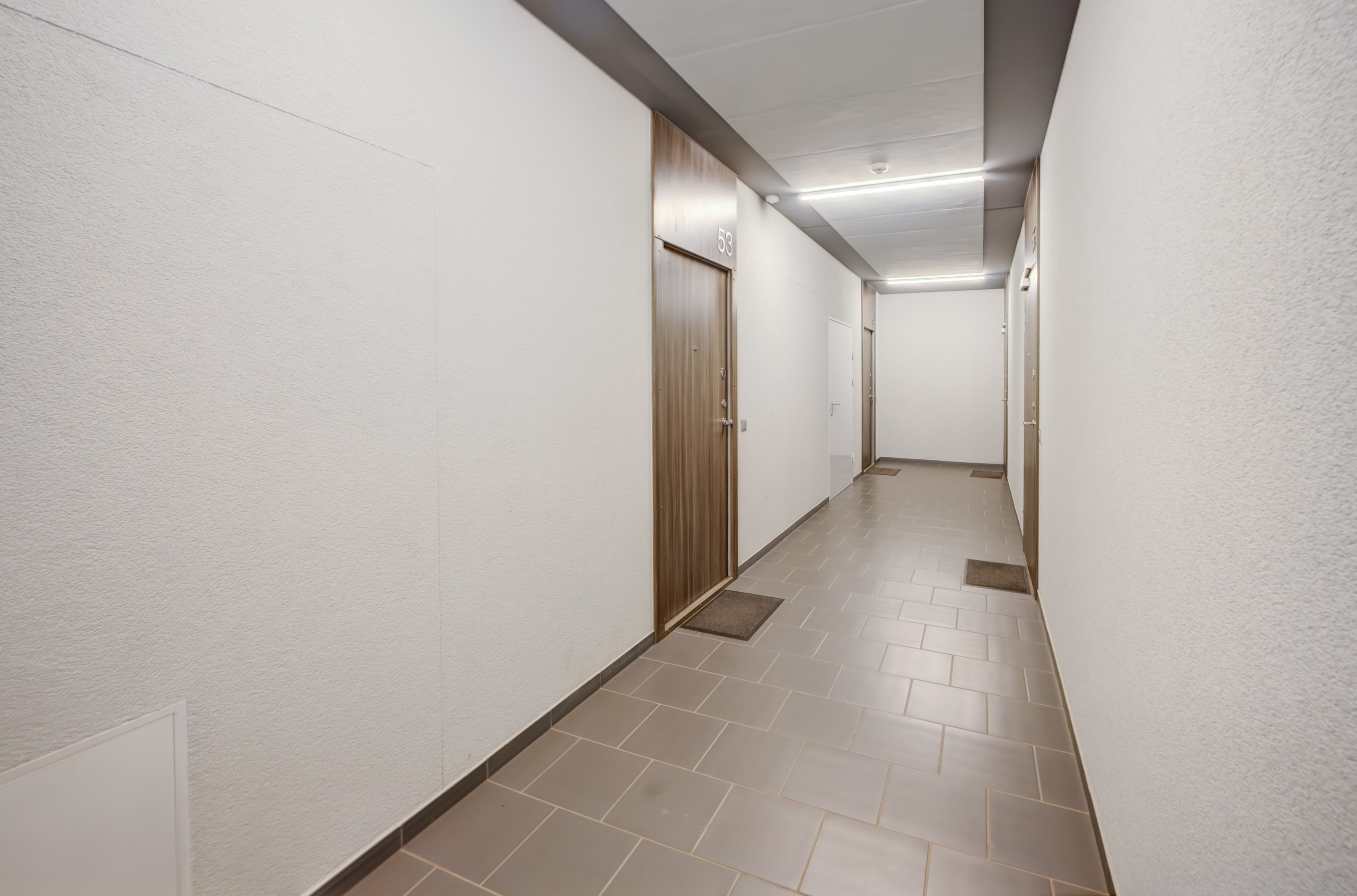 Karaliaučiaus g. 9 c, 2 k buto fotosesija. Elina Sapiega fotografė Vilniuje