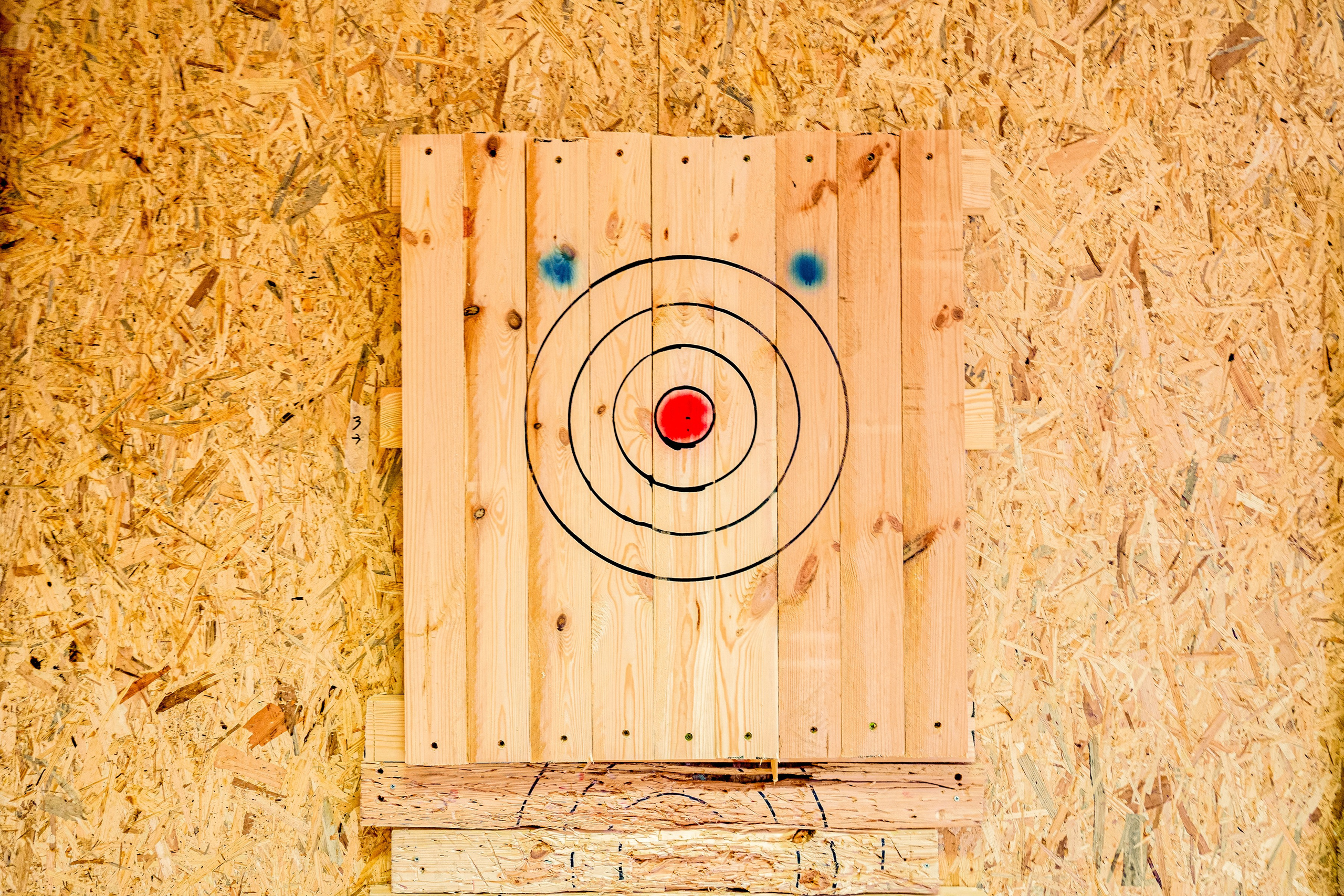 Ringtinės g. 42. Elina Sapiega fotografė Vilniuje