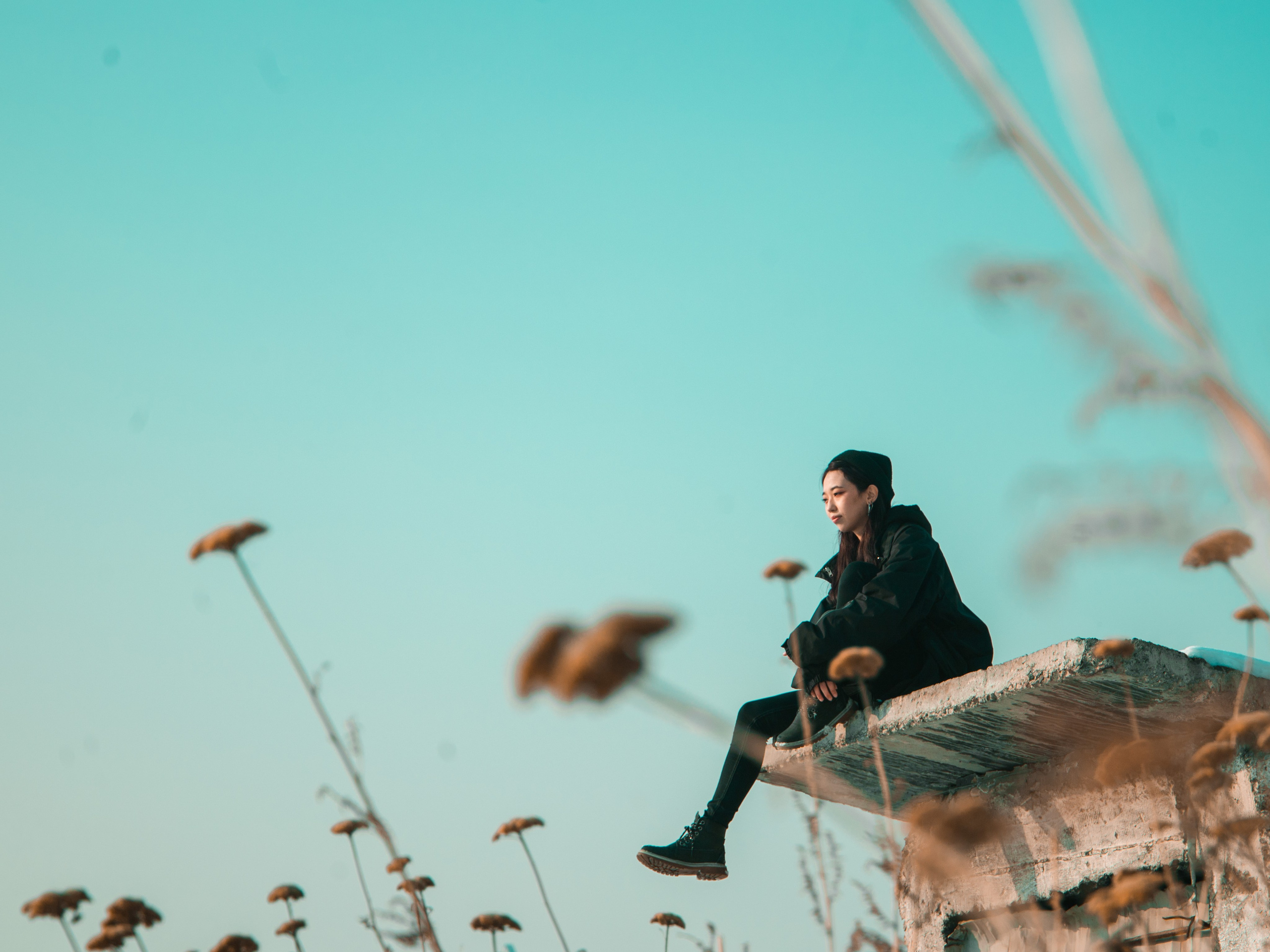 Potrait. The Photographer