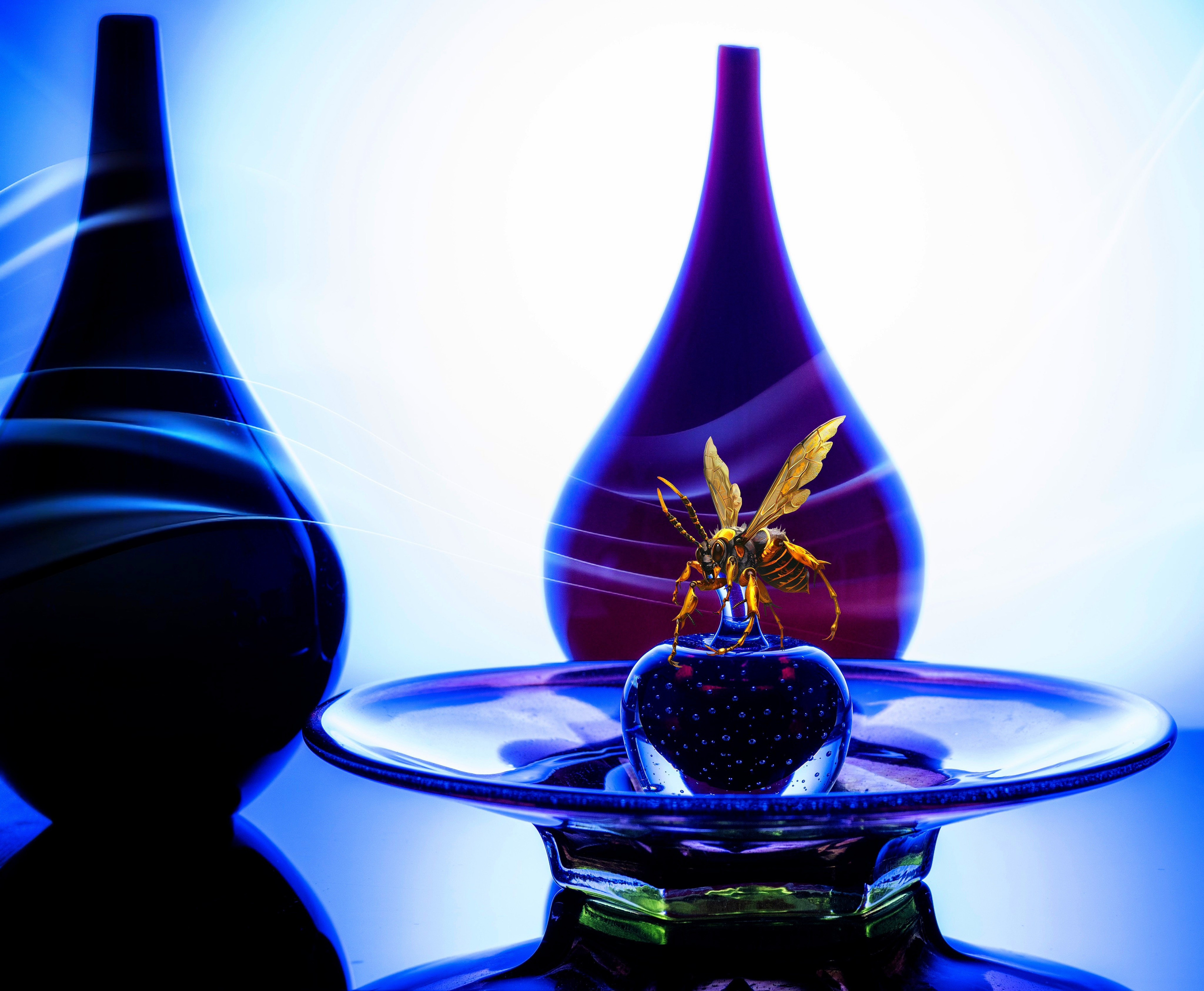 СВЕТ И СТЕКЛО В НАТЮРМОРТЕ. LUKIN IGOR Photography