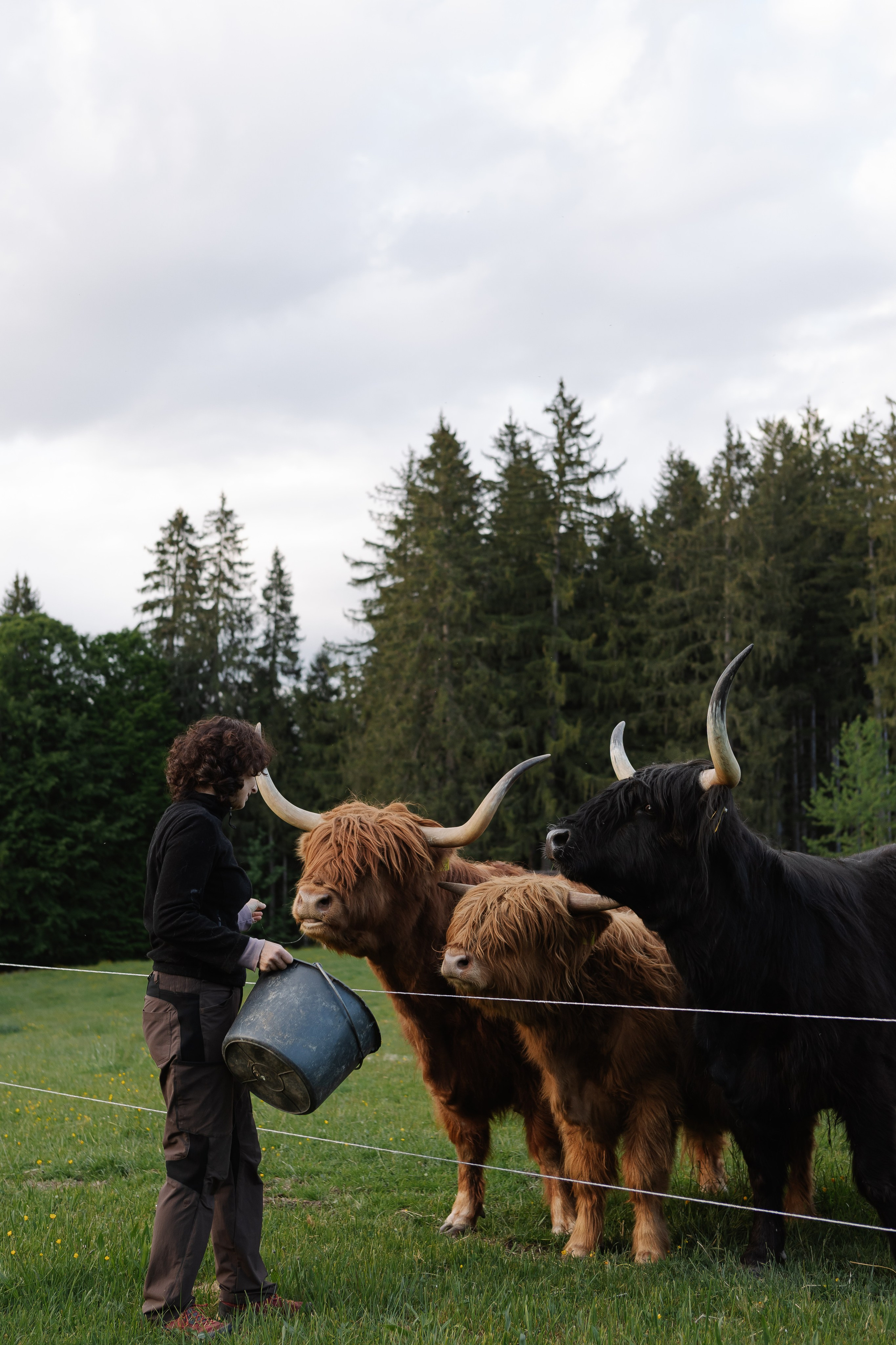 Reportage-Shooting. Fotografin Larysa Chepurko| Füssen| Garmisch-Partenkirchen| Weilheim| Schongau| Murnau| München | Hochzeitsfotograf Füssen | Larysa Photo