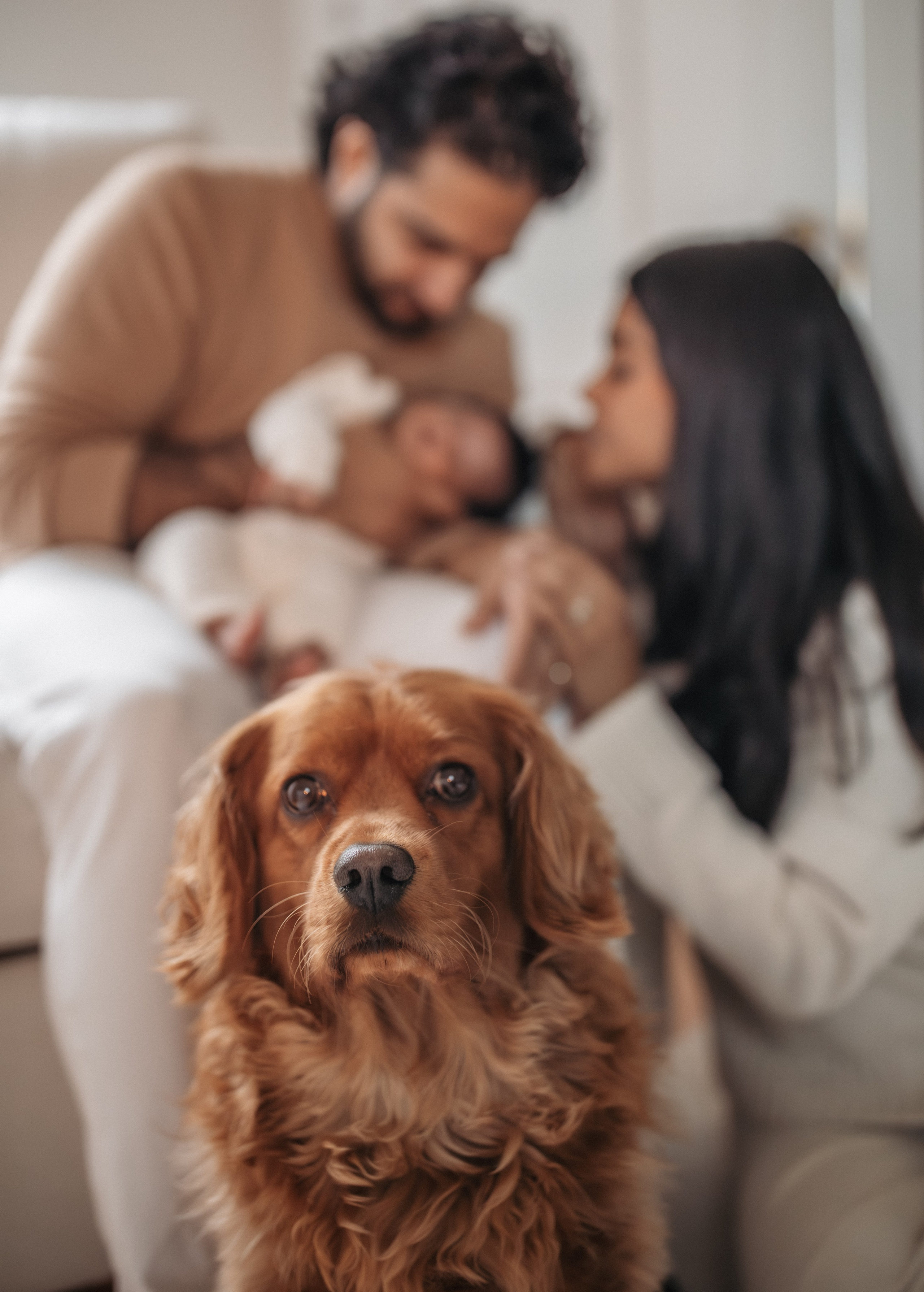 Megna, Amish and Sona. Love Through Photo