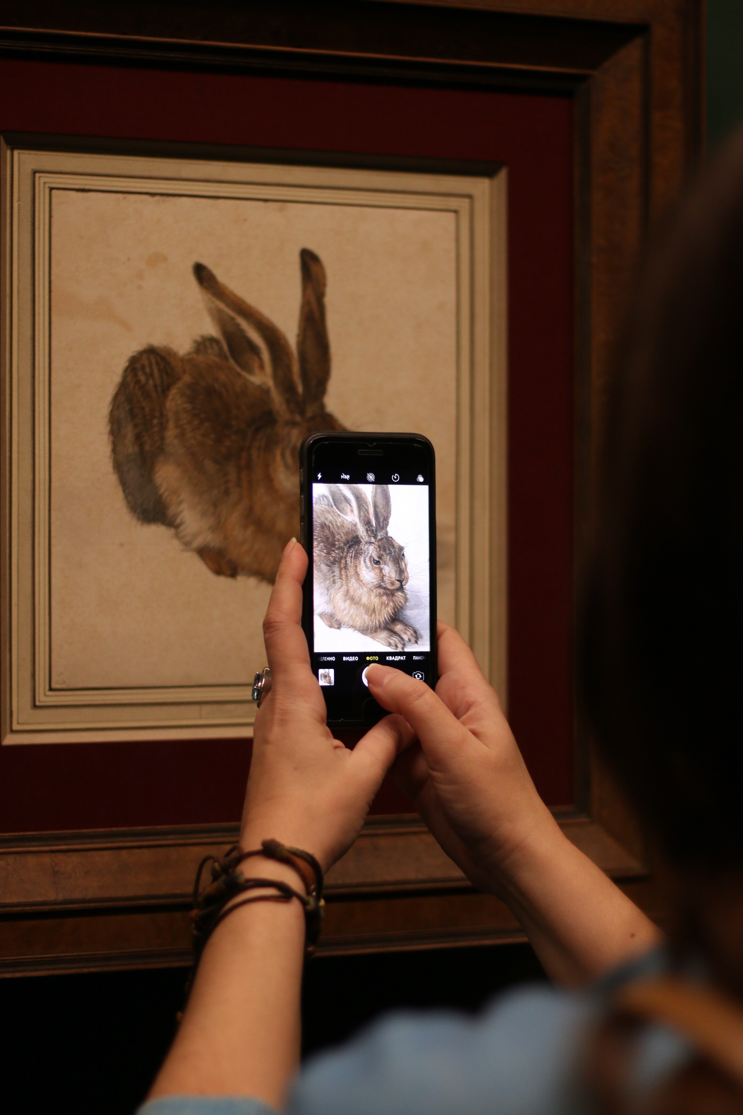 Vienna, Dec.19. Kseny Kolesnik Photography