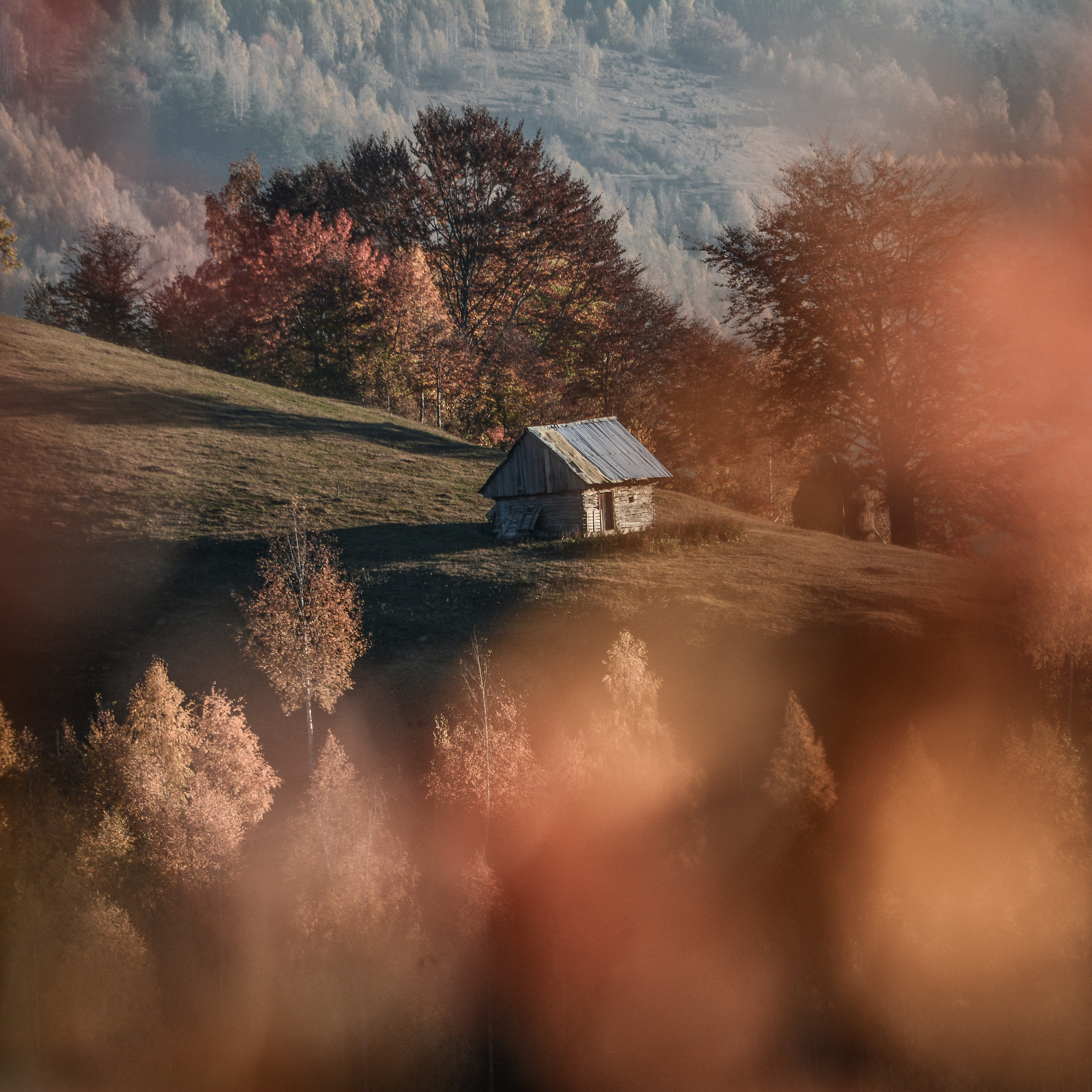 Vopsea pe obiectiv. EverBloom Photography