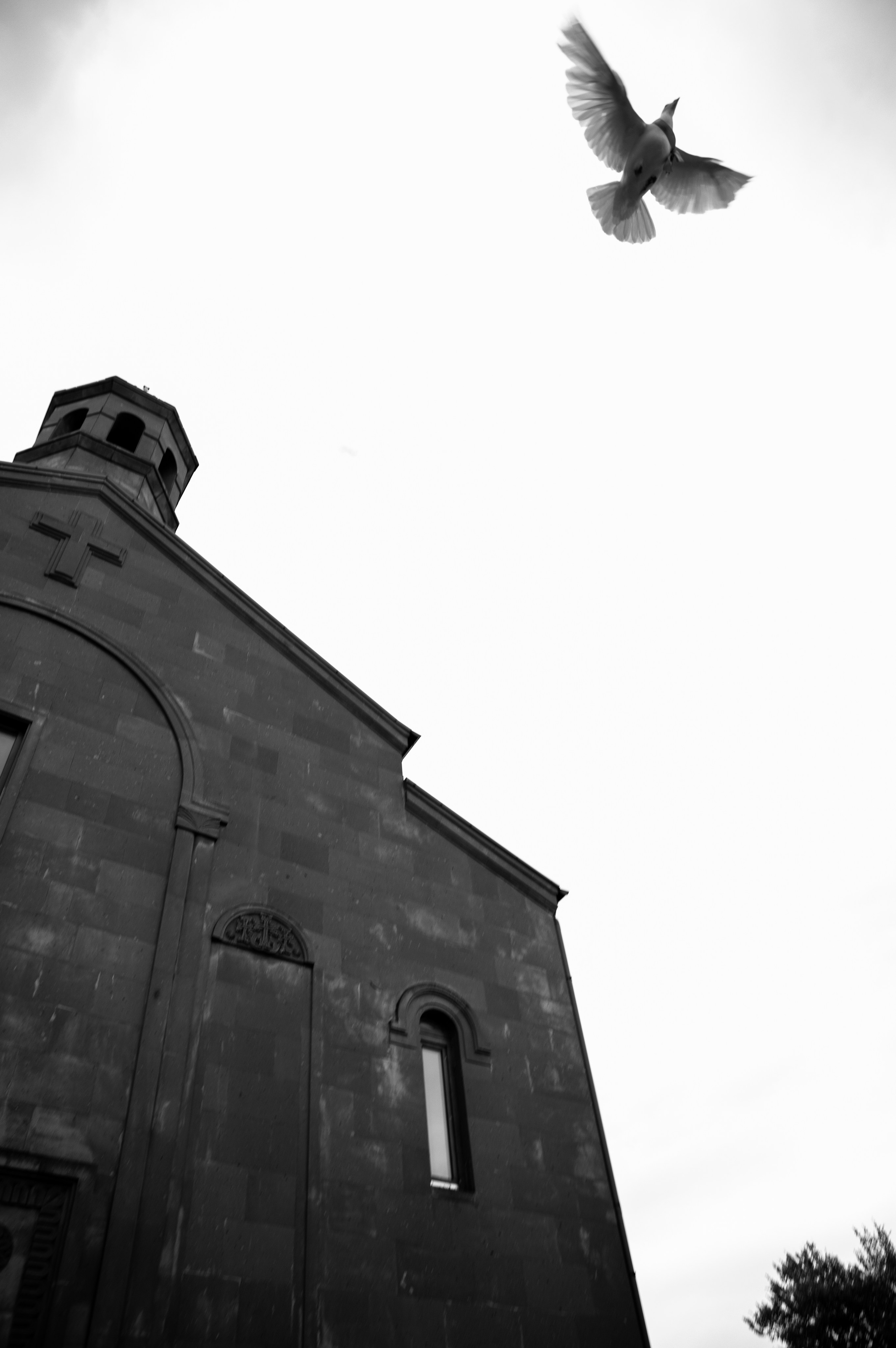 Wedding. Fotógrafo en España y Valencia