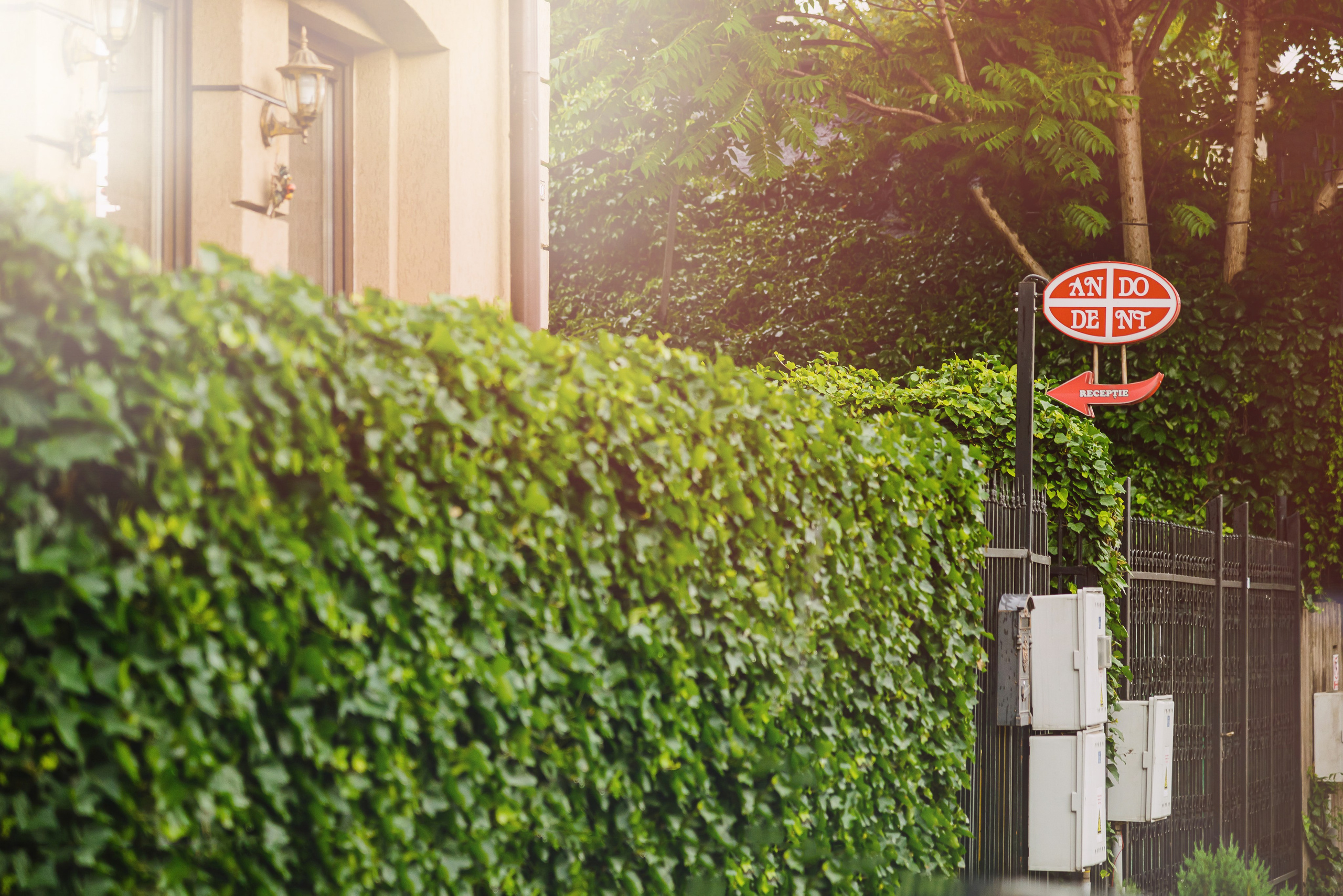 Andodent. Giani Maftei