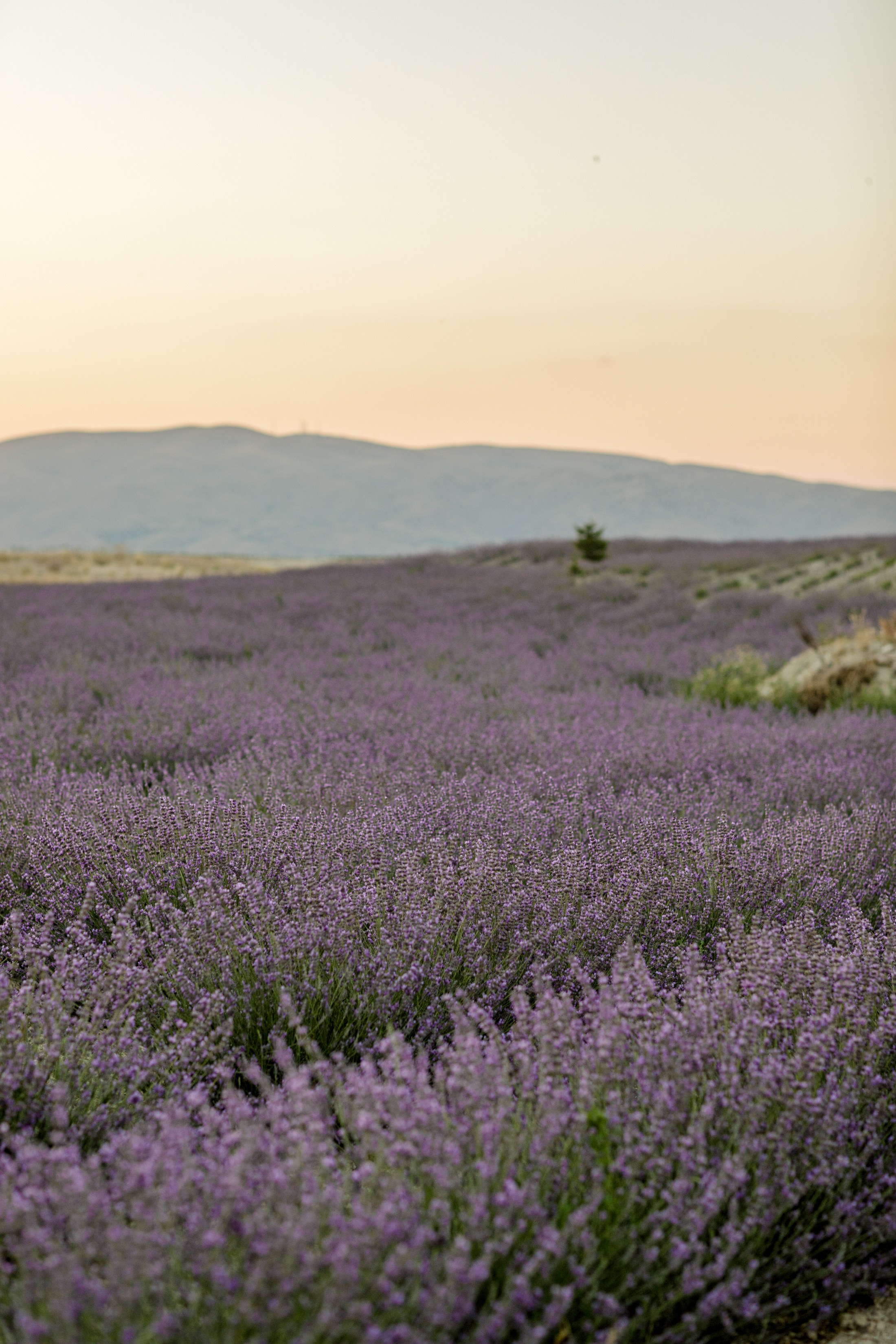 Ваш помощник в Каппадокии: Индивидуальные экскурсии, маршруты, полеты на воздушном шаре и другие активности