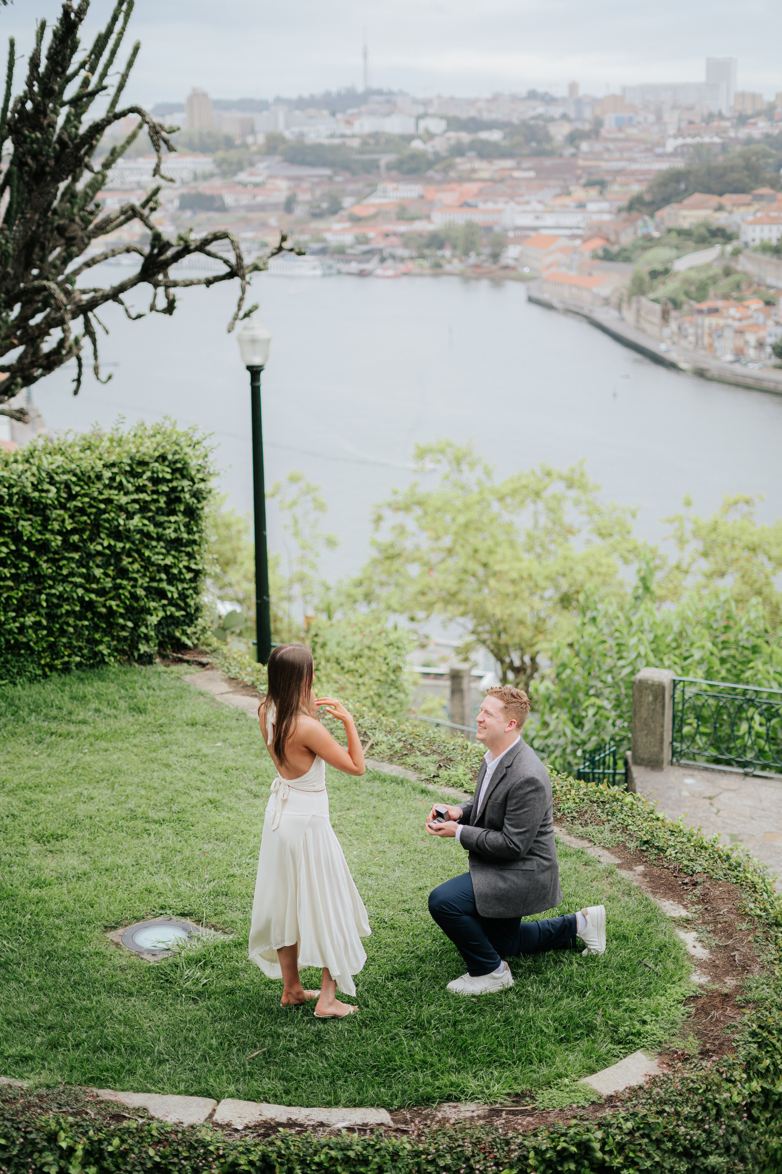 Wedding Proposal Aaron. Davi Valente