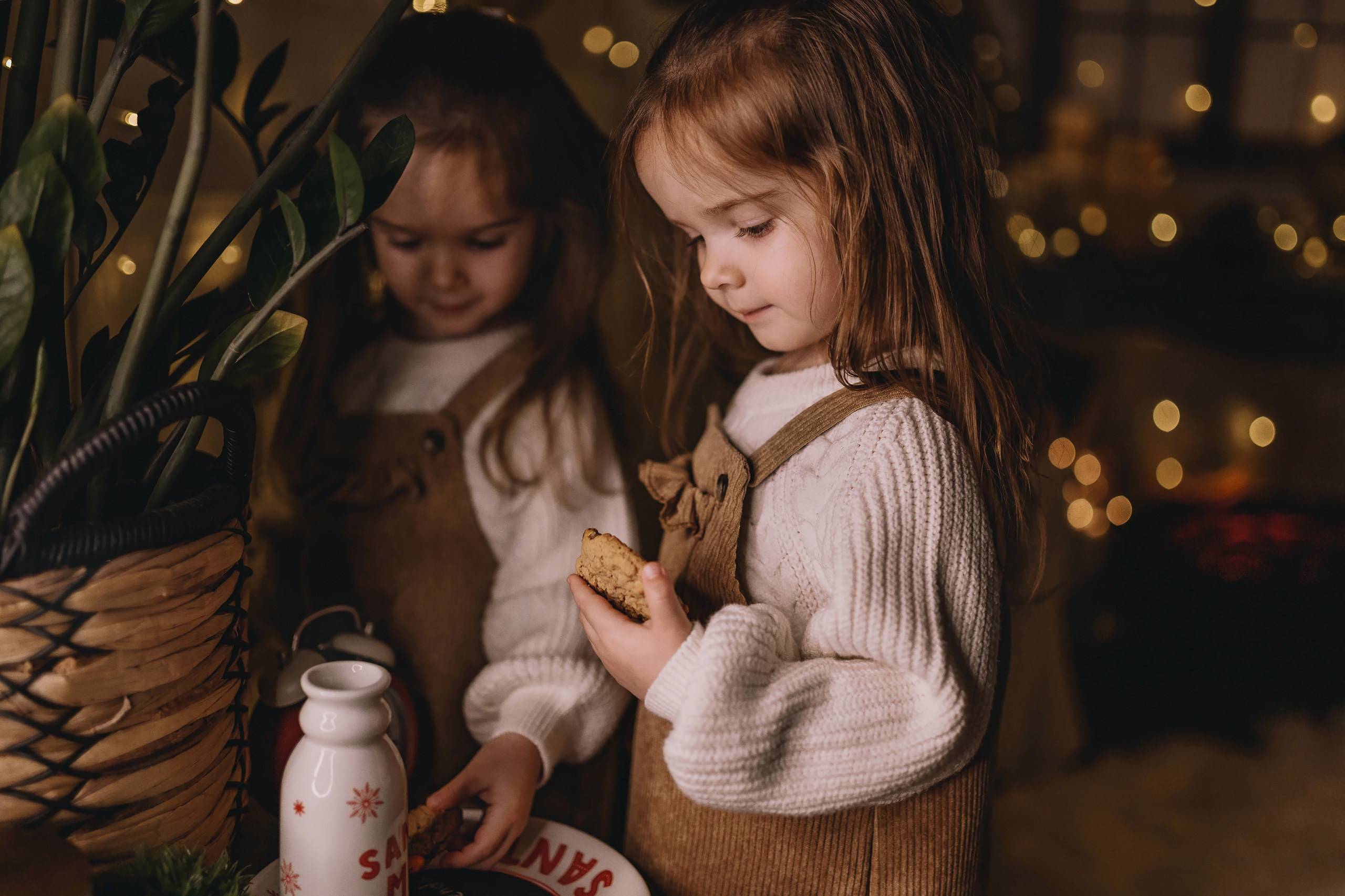 11.26.2025 Christmas Photoshoot. Wedding family event photographer in Chicago Nick Yushevich