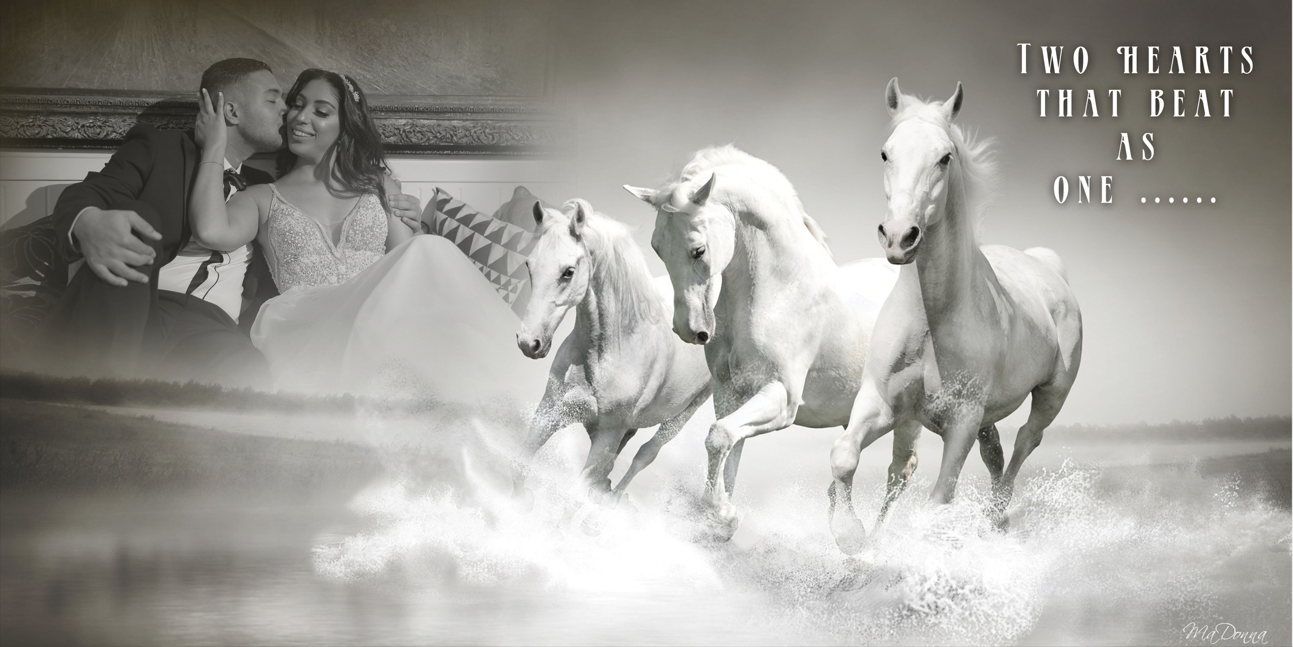 22.11. MDVD Фото-видео съемка мероприятий