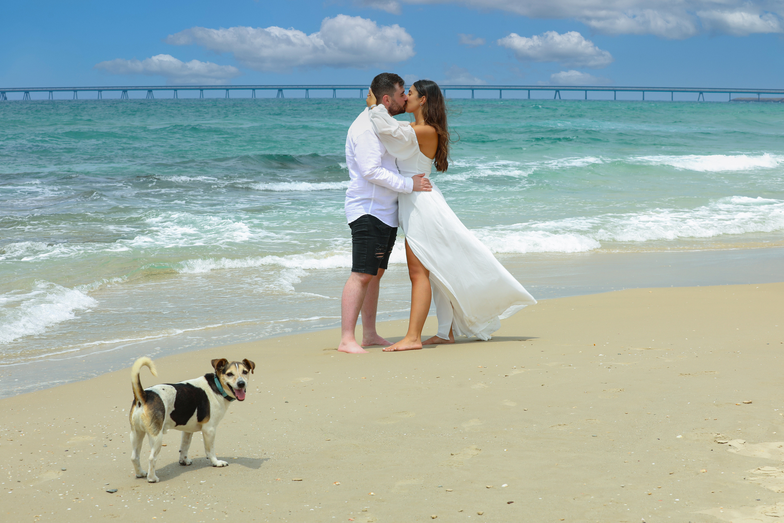 01.12.2022. MDVD Фото-видео съемка мероприятий