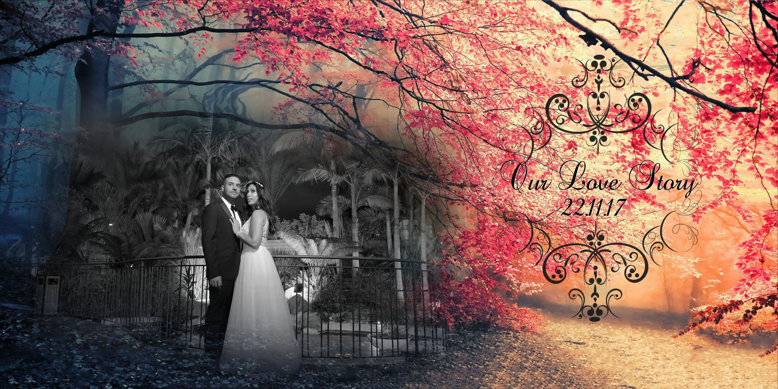 22.11. MDVD Фото-видео съемка мероприятий