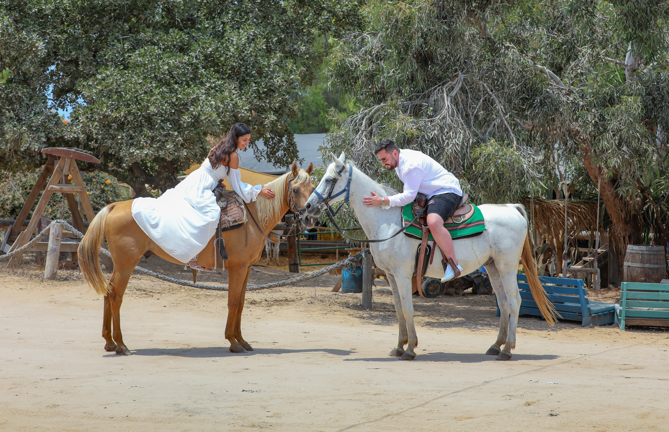 01.12.2022. MDVD Фото-видео съемка мероприятий