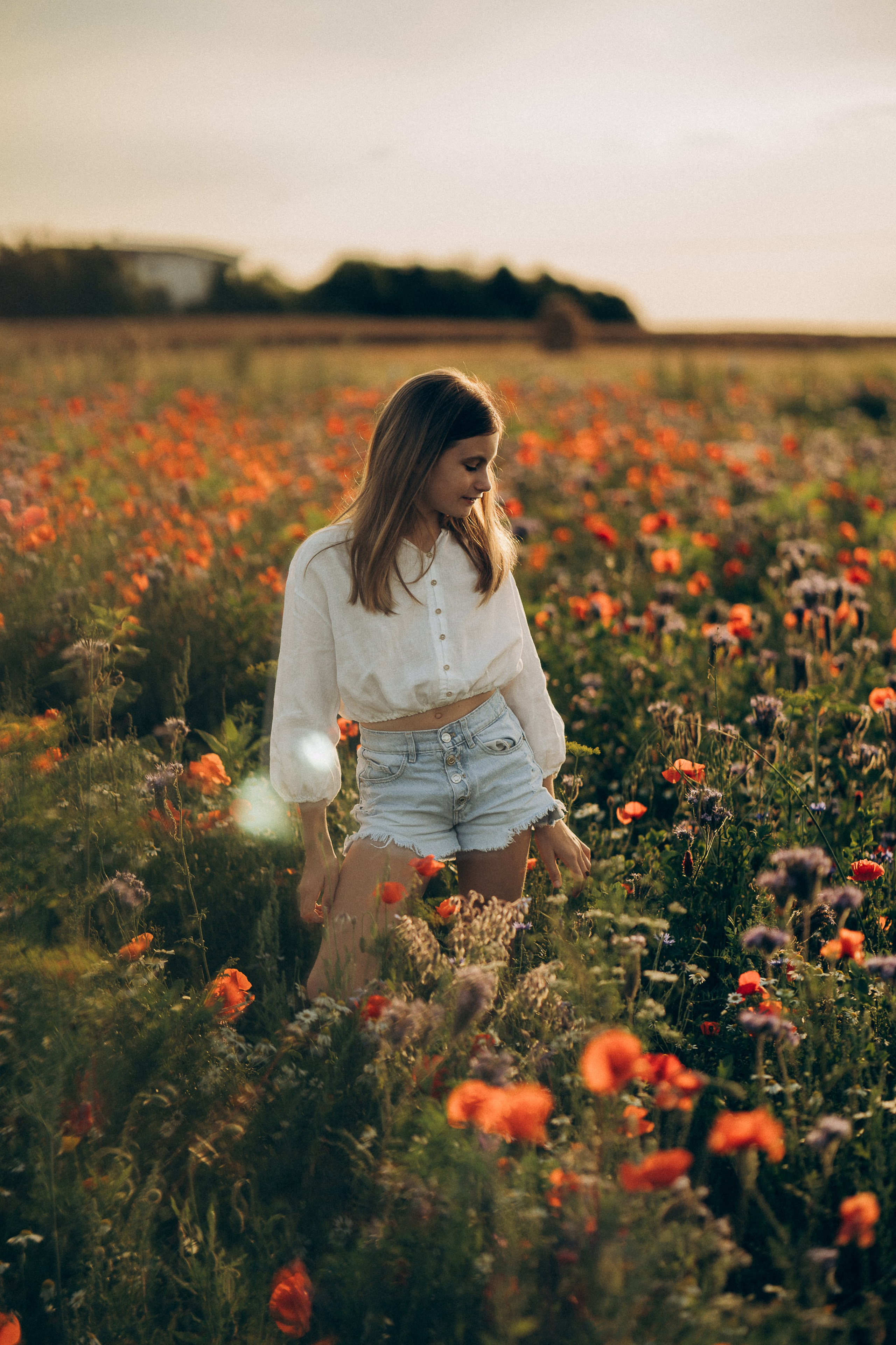 Summer evening fields. Familien, Portrait und Konzeptualfotografie in Genf, Schweiz