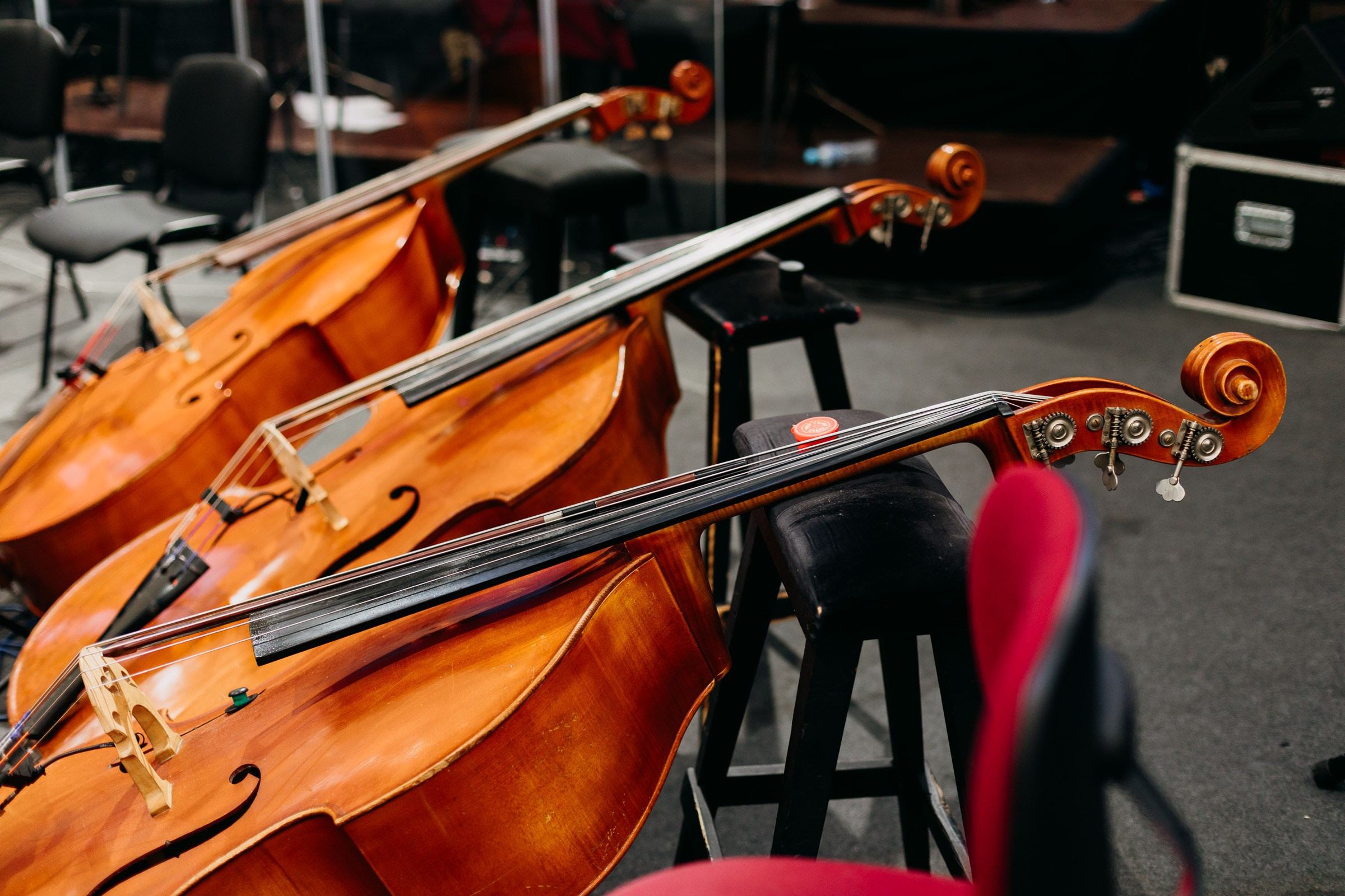 Opera Leśna Koncert. Fotograf Ślubny Warszawa - Sesje Biznesowe Rodzinne Eventy
