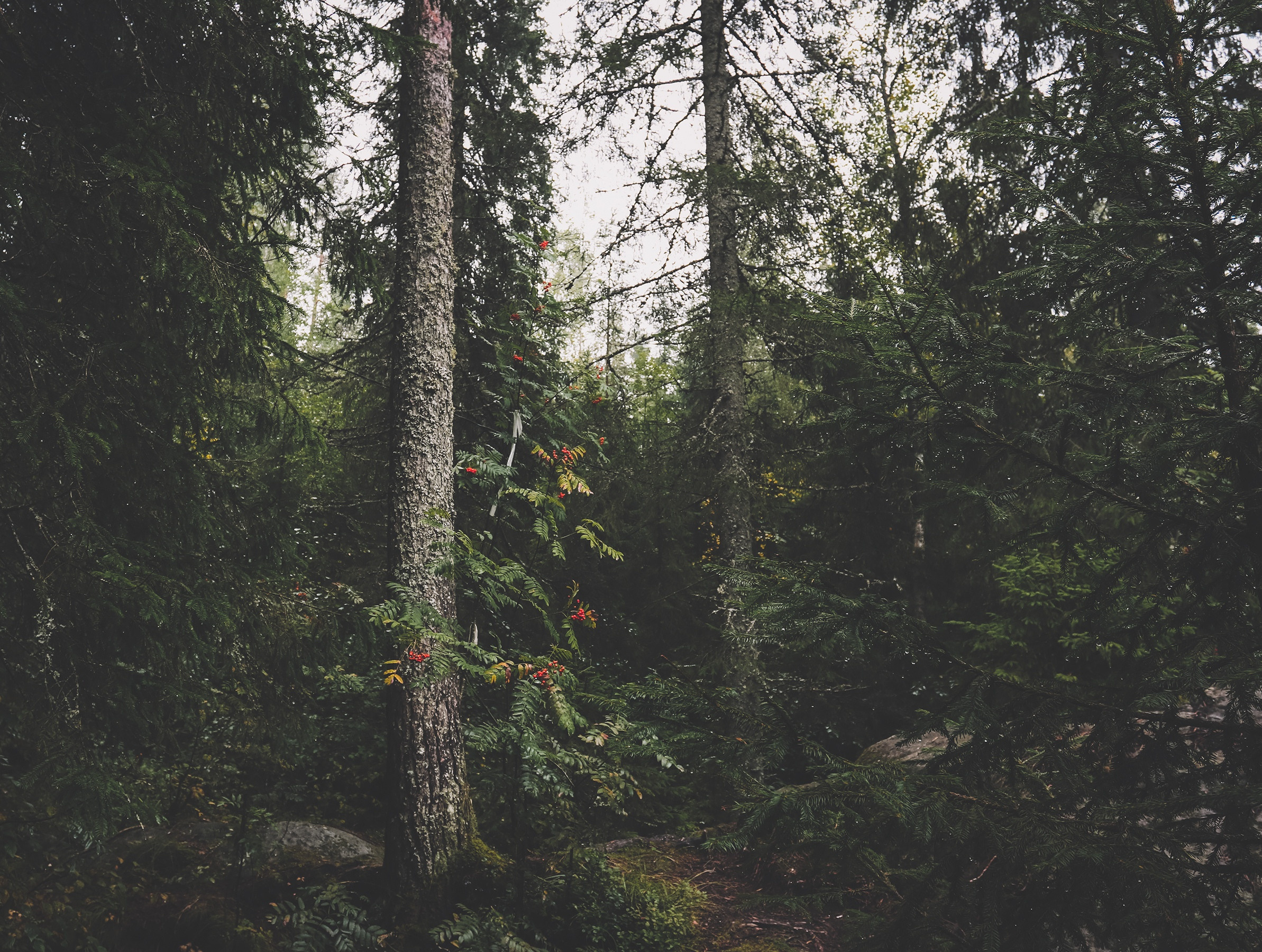 NATURE. Портретный и спортивный фотограф в Алматы Алексей Овечкин