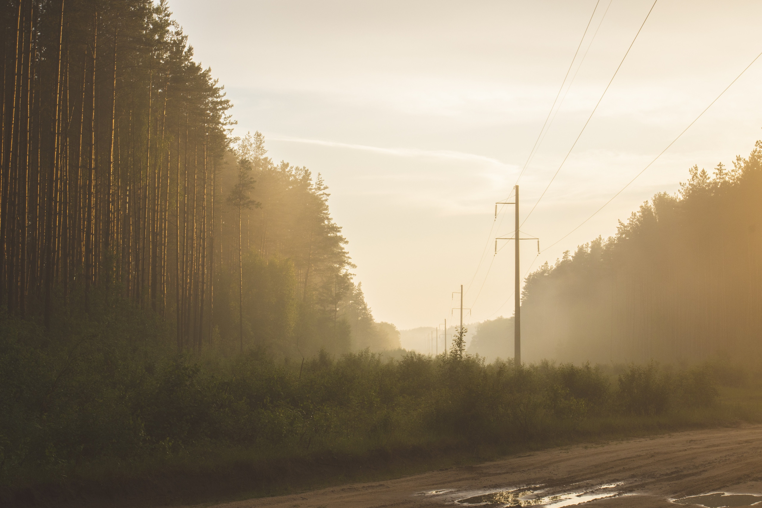 NATURE. Портретный и спортивный фотограф в Алматы Алексей Овечкин