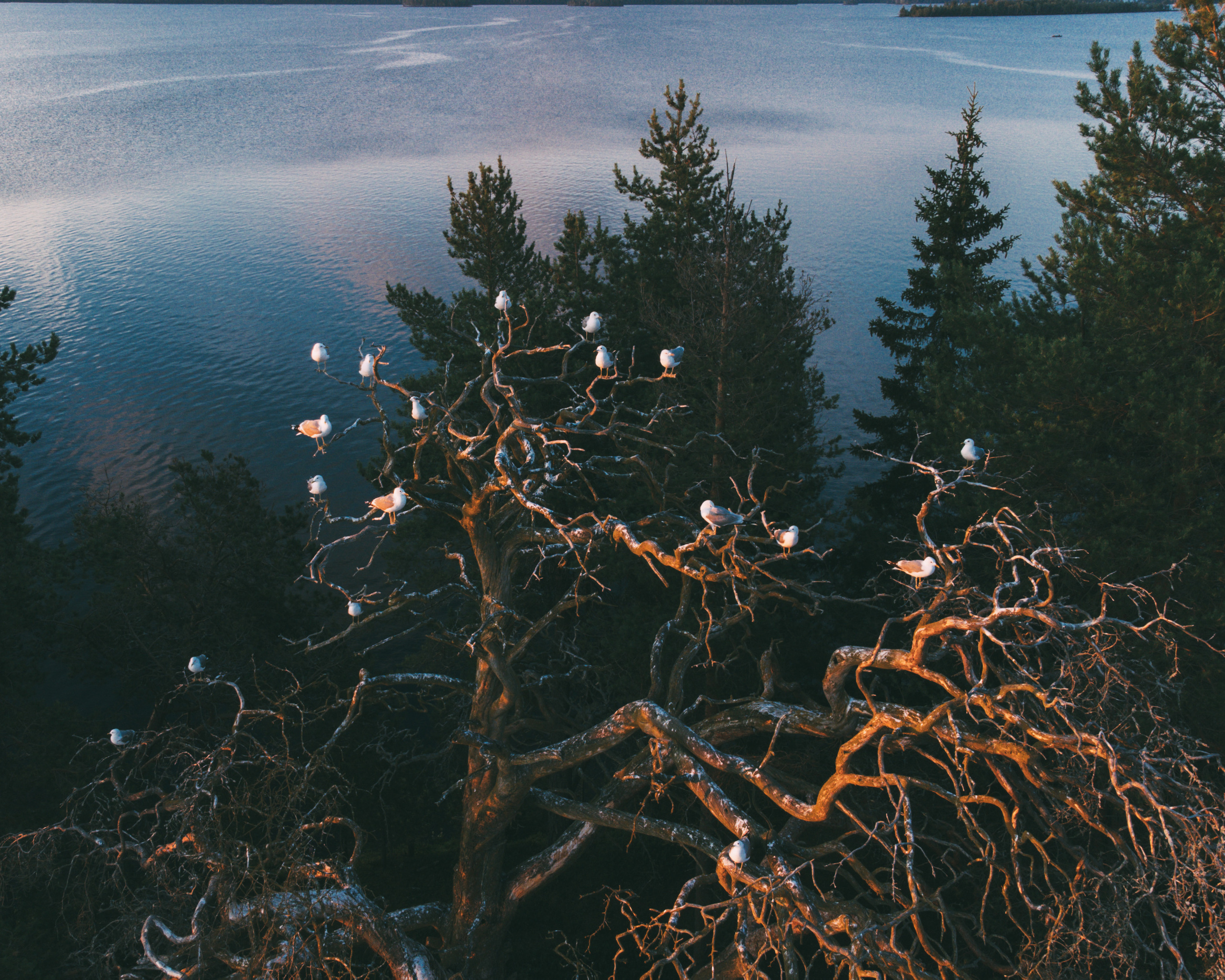 NATURE. Портретный и спортивный фотограф в Алматы Алексей Овечкин