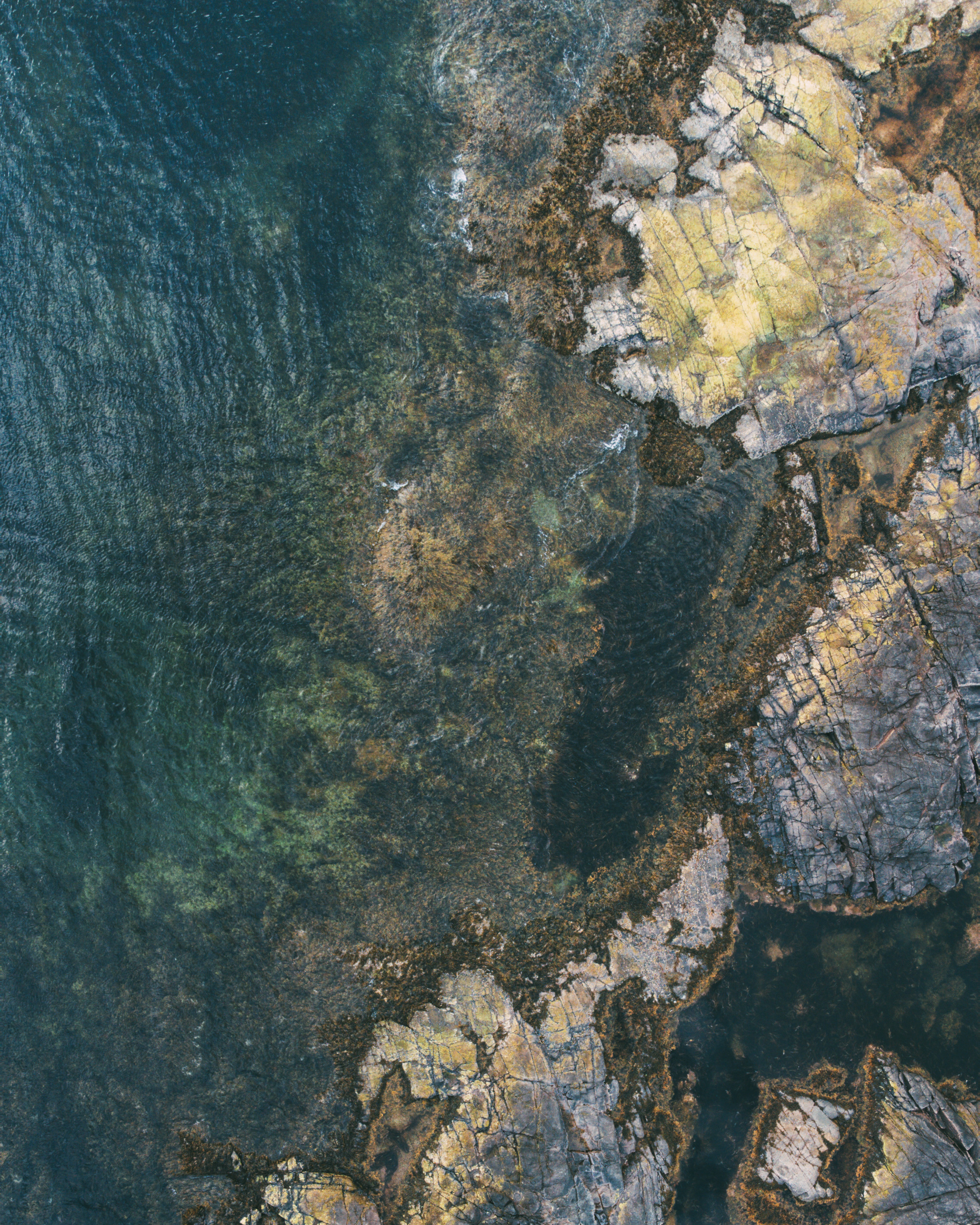NATURE. Портретный и спортивный фотограф в Алматы Алексей Овечкин