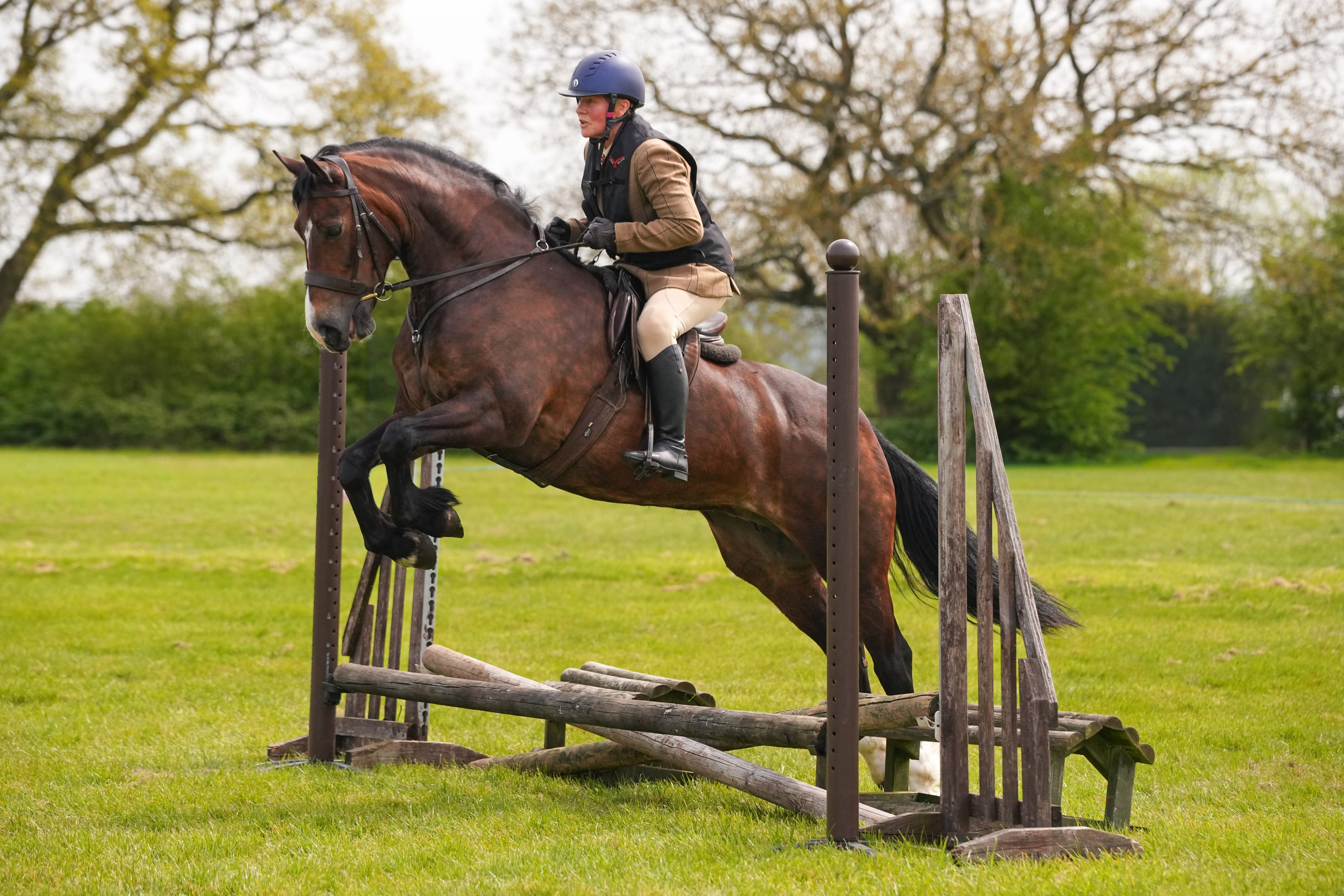 Show Jumping Photography in Leicestershire | Equine Action Shots by El. Leicestershire Equine Photography by El | Authentic Equine Portraits & Events