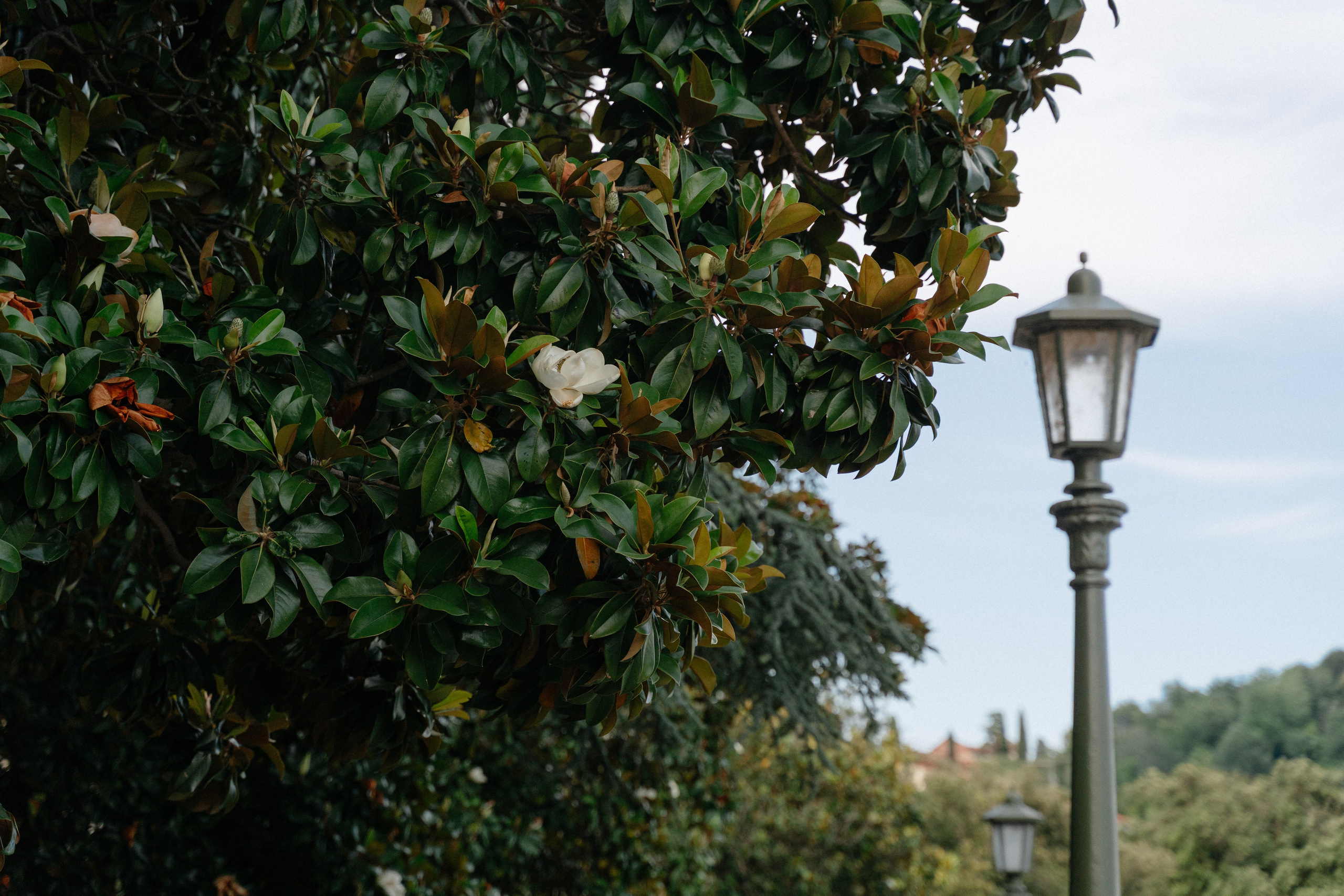 C & C (Ponte Pietra, Verona, Italy). Marriage Proposal Photographer in Verona, Lake Garda and Dolomites| Diana Fedrigo