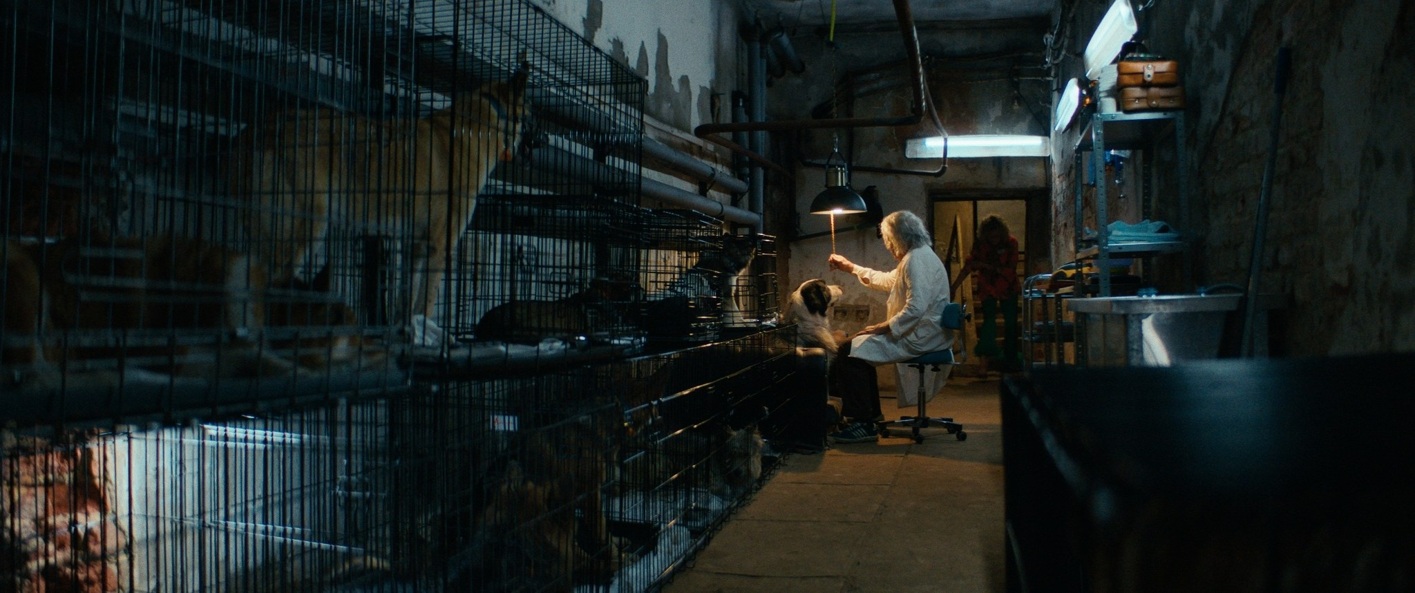 Doctor Gaf | Film. Ilia Ivanov