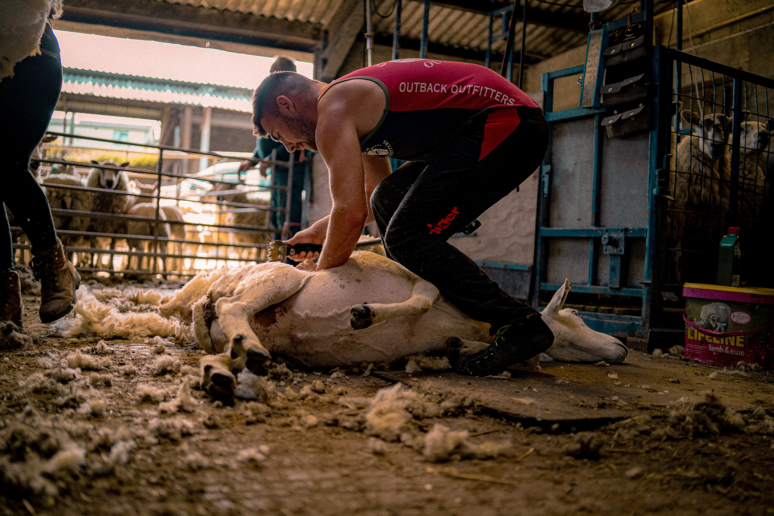 Farm Life. Ryan Hewitt Photographer