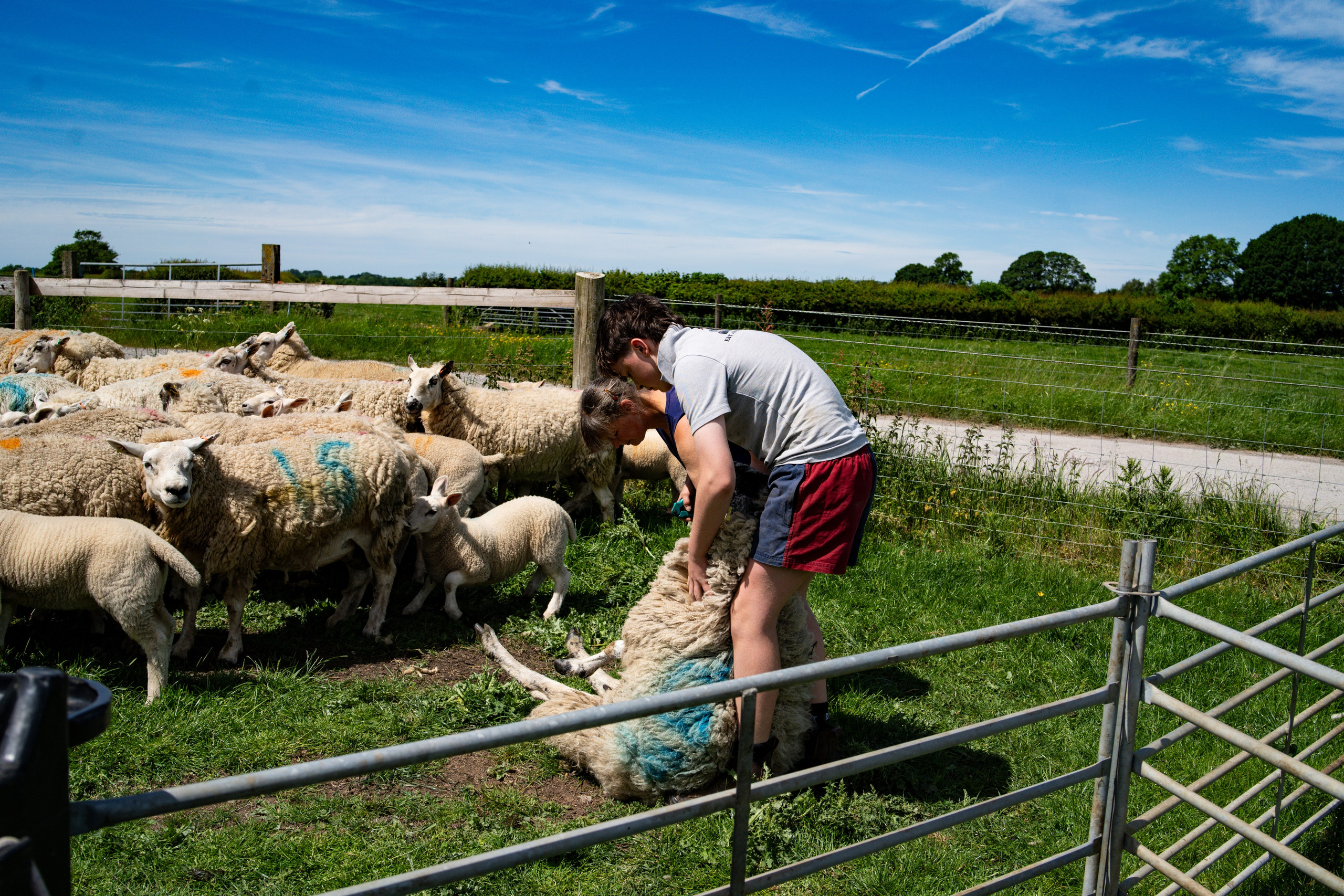 Farm Life. Ryan Hewitt Photographer