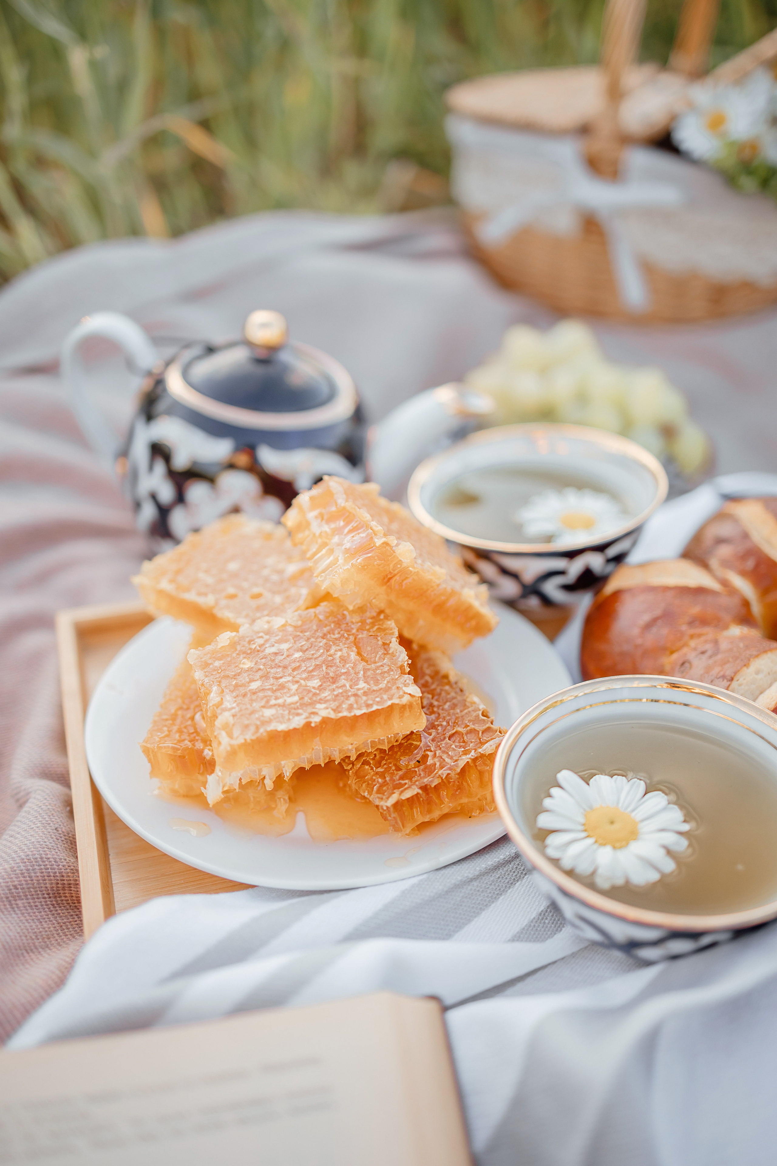 Honey camomile. Фотограф в Мюнхене Анастасия Воробцова