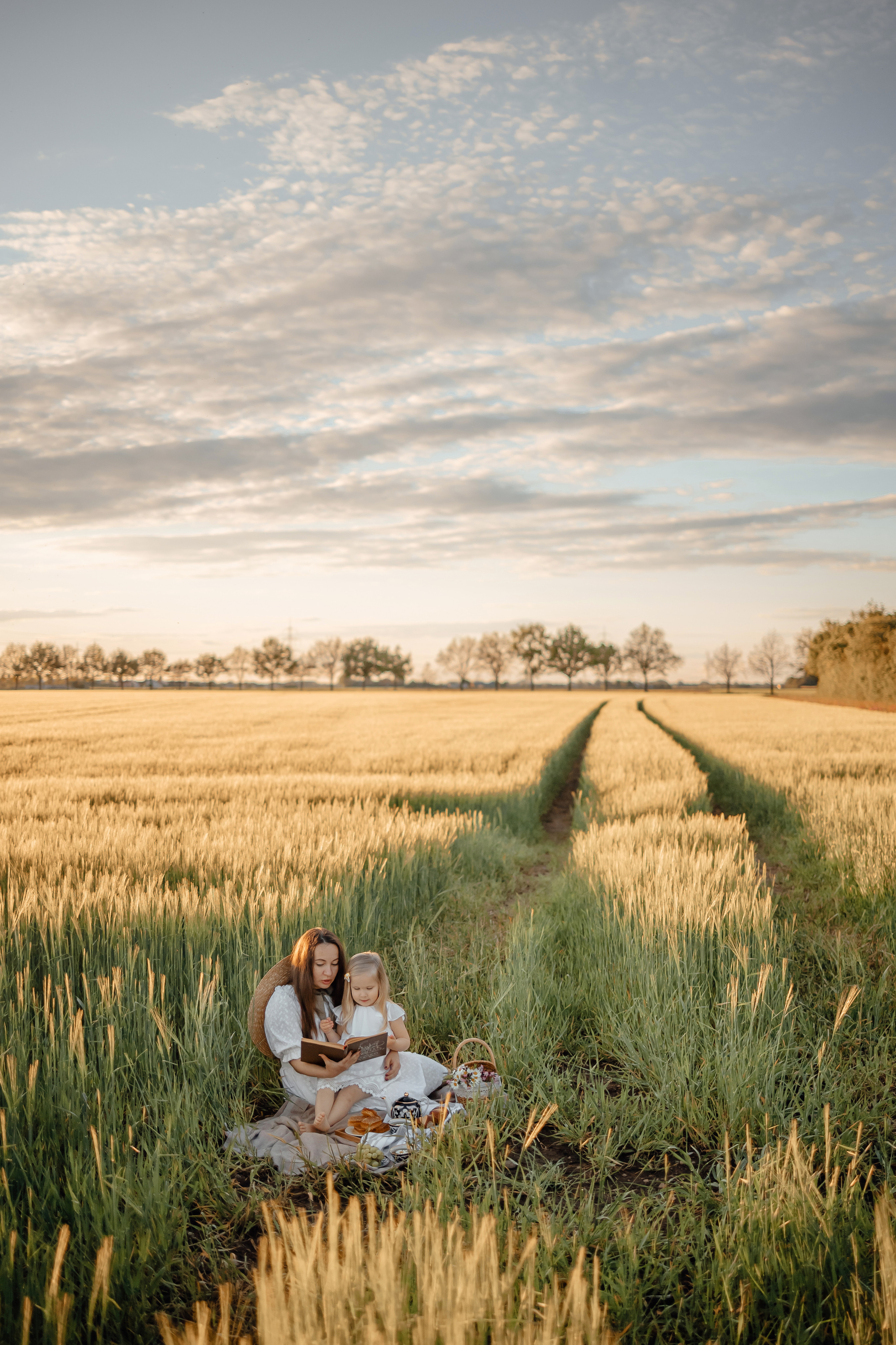 Honey camomile. Фотограф в Мюнхене Анастасия Воробцова