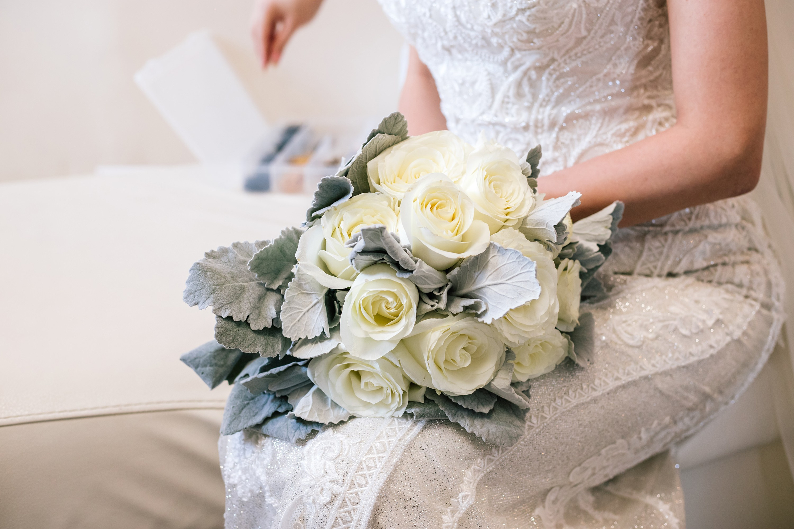 Preparativos /Getting Ready. Principal