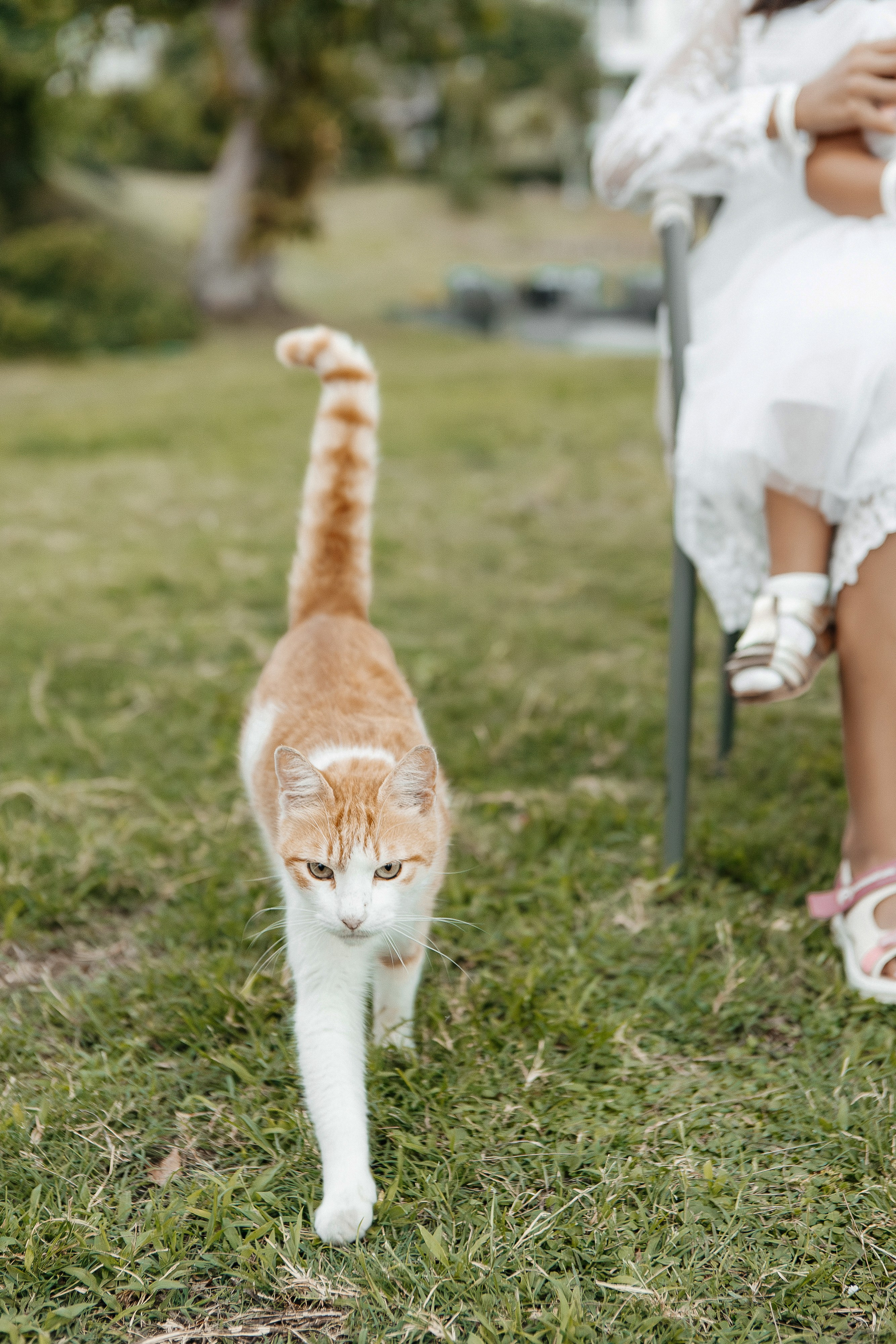 Выездная регистрация в Анталии. Фотограф в Анталии, Кемере и Белеке