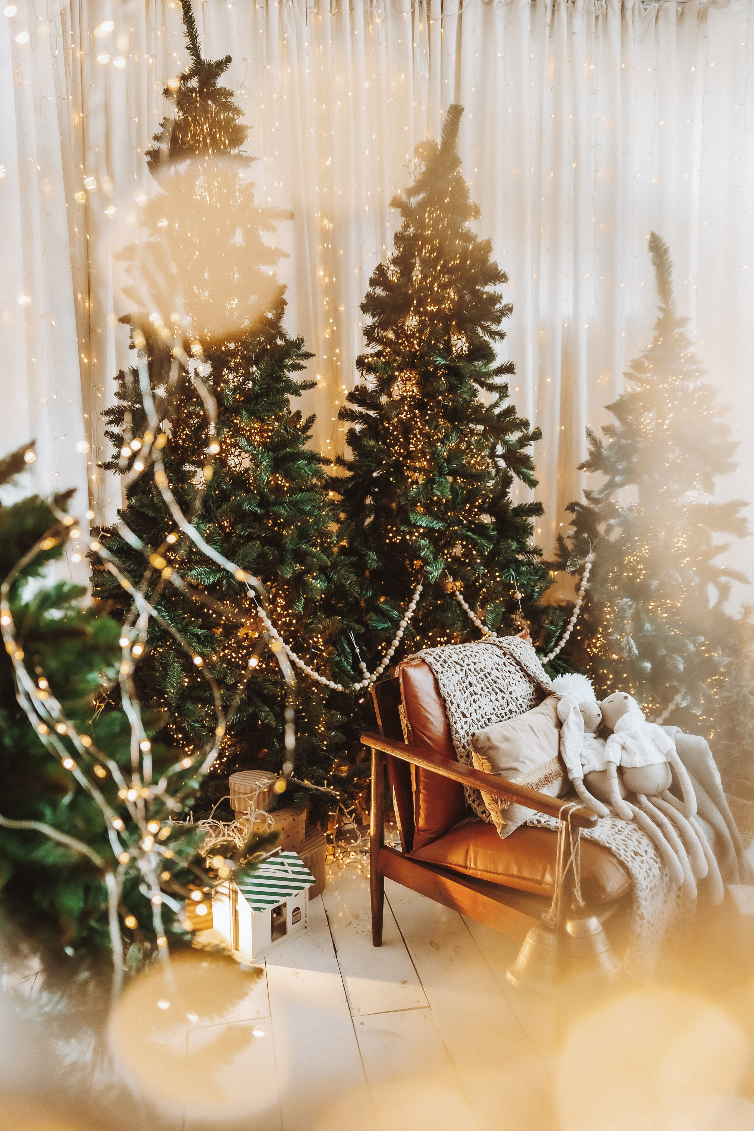 Декор 2023-24. Фотограф Ирина Йотова