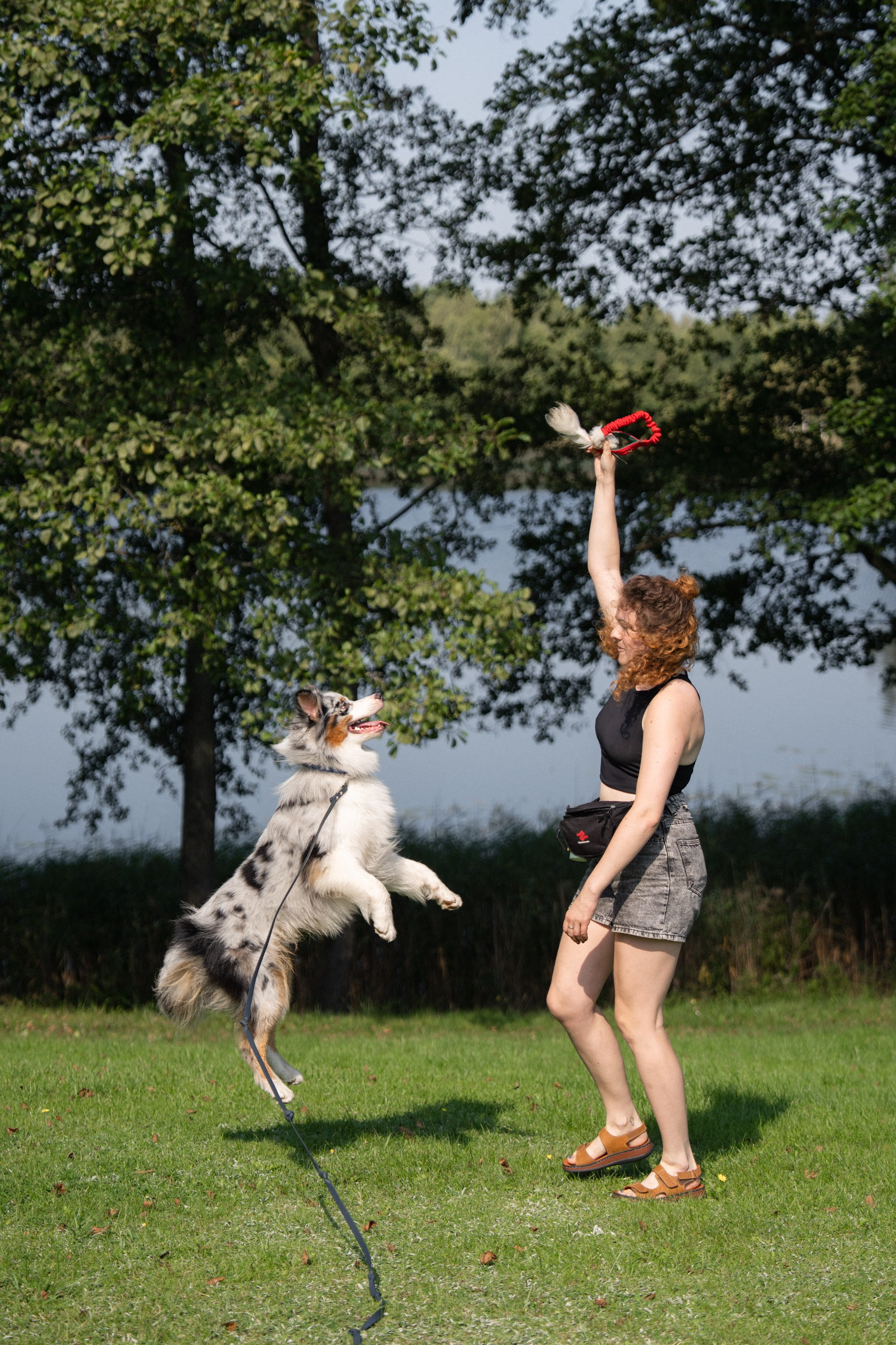 Heppi Dogo fest 2025. Vita Klimaševska ○ Fluffy Soulmate Photography