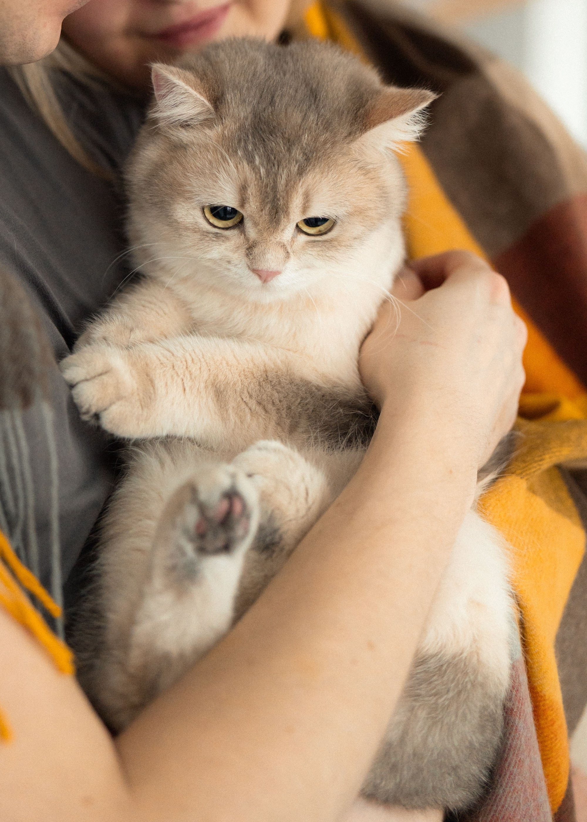Alina, Sergej, Yumi ir Leo ✨. Vita Klimaševska ○ Fluffy Soulmate Photography