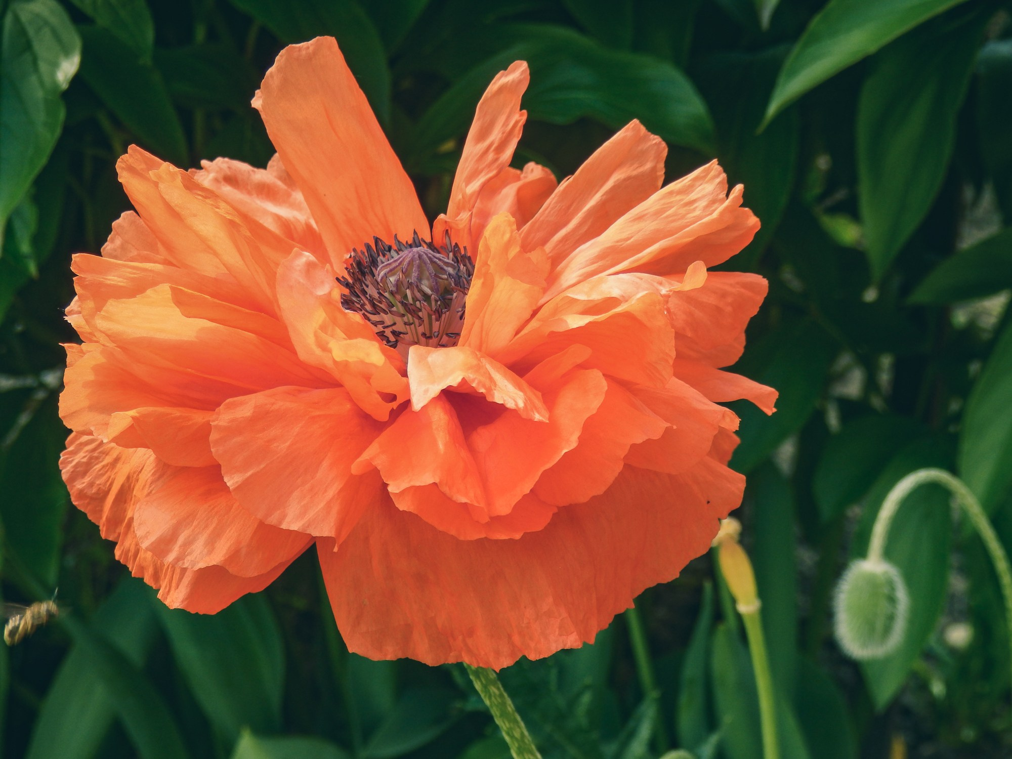 Peisaj /natura. Daniel Criste Fotograf