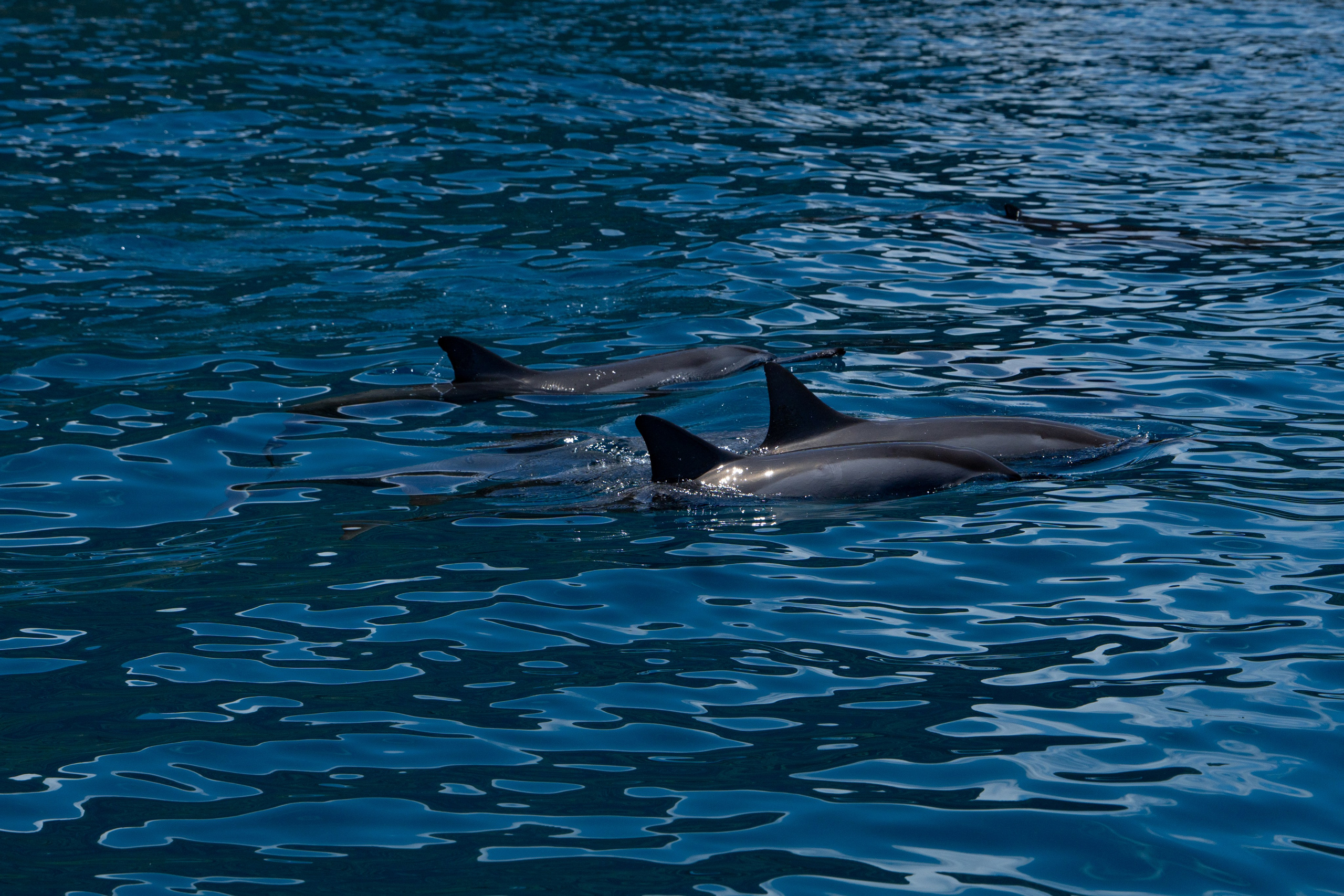 LANDSCAPES. Awards winning photographer in Kauai, Hawaii