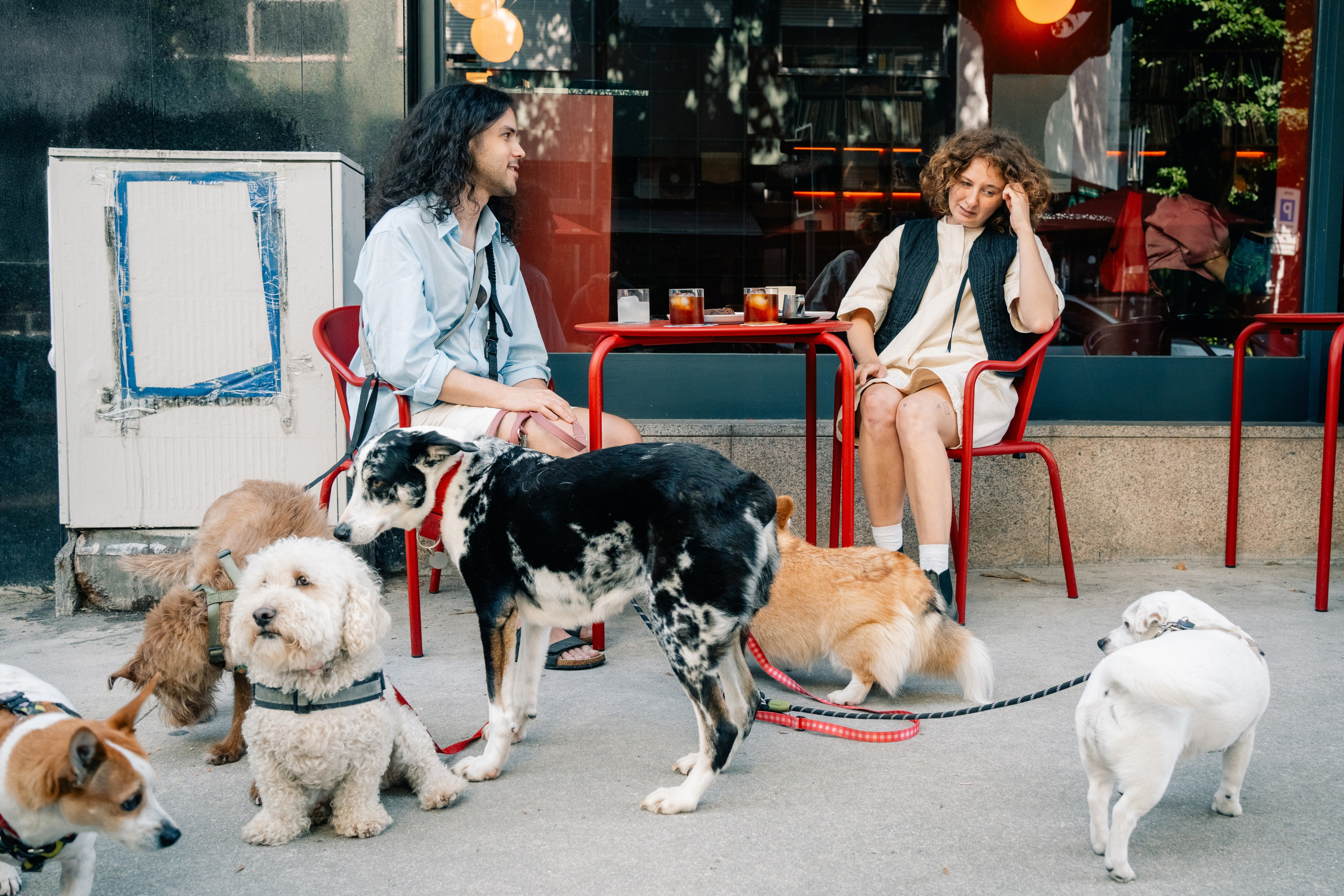 Yana & Pedro & Doggos. Maria Sher. Professional photographer from Porto, Portugal