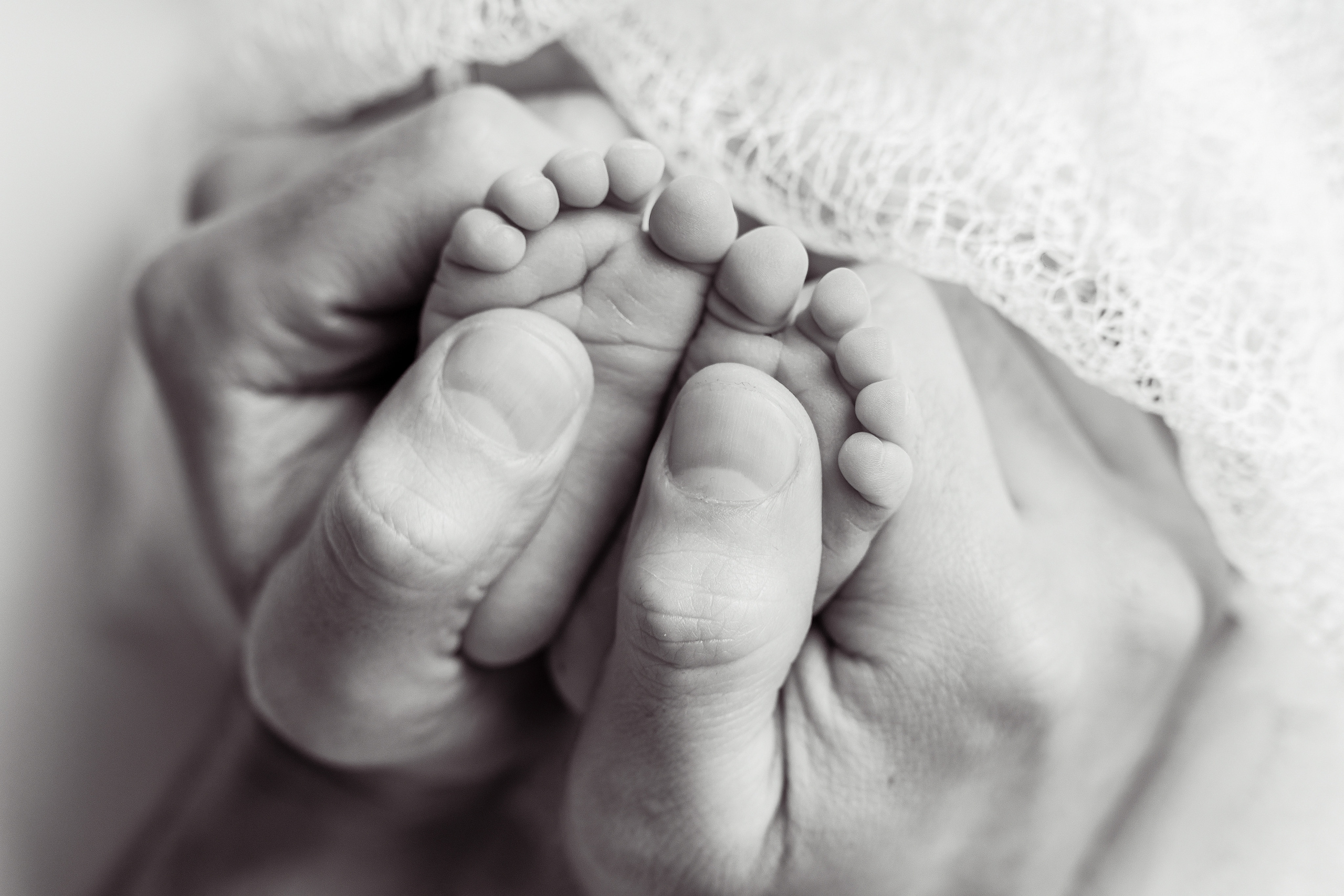 Newborn. Maria Langlitz Photography